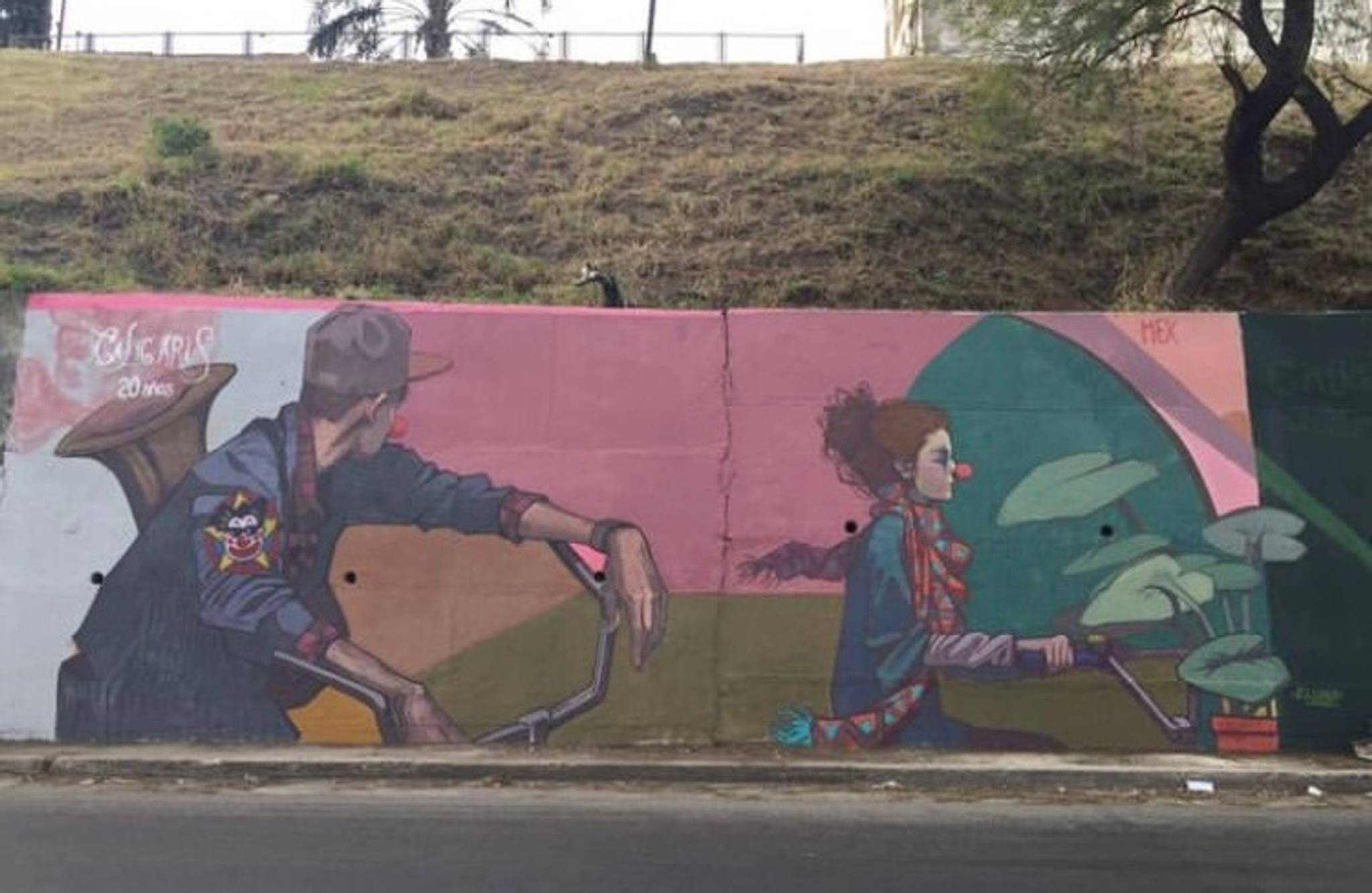 MEX&mdash;Caligaris, 20 años