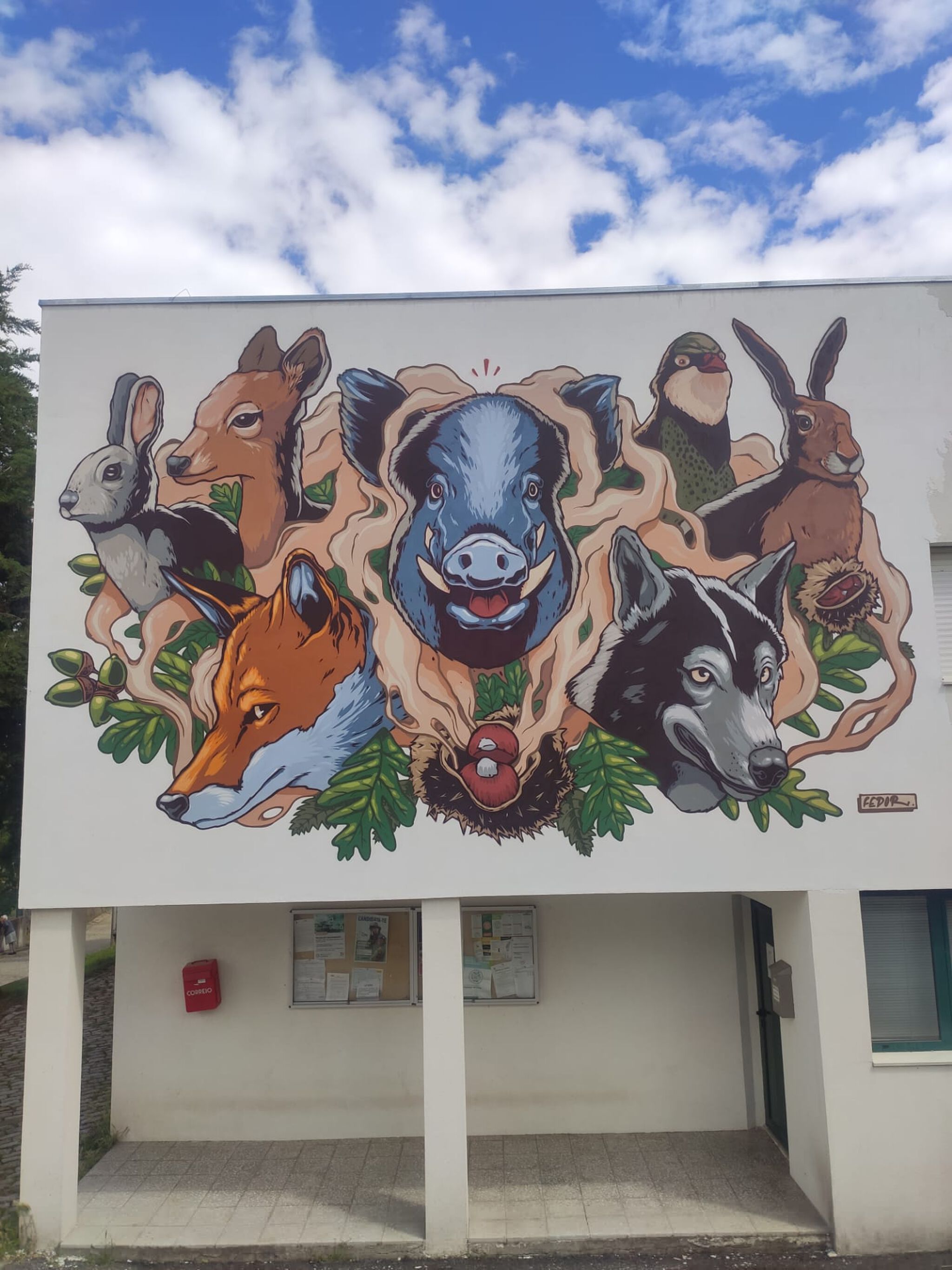 Fedor&mdash;A fauna e a flora da Serra da Nogueira