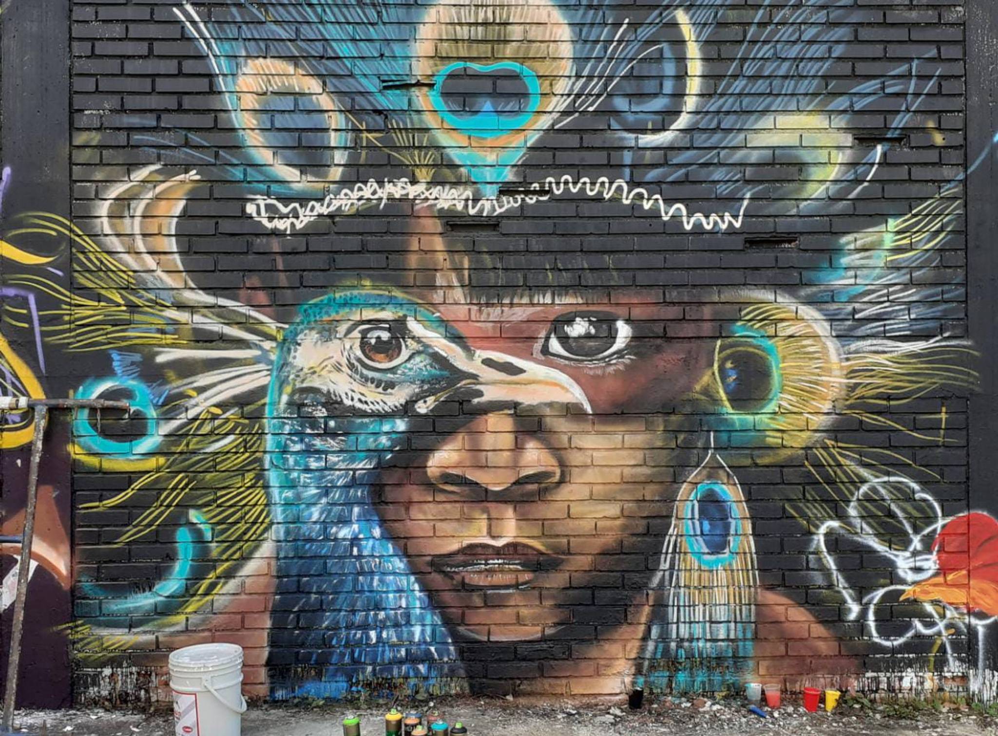 Táriba, Vicdarina, Esquema Colectivo&mdash;Rostro Indígena