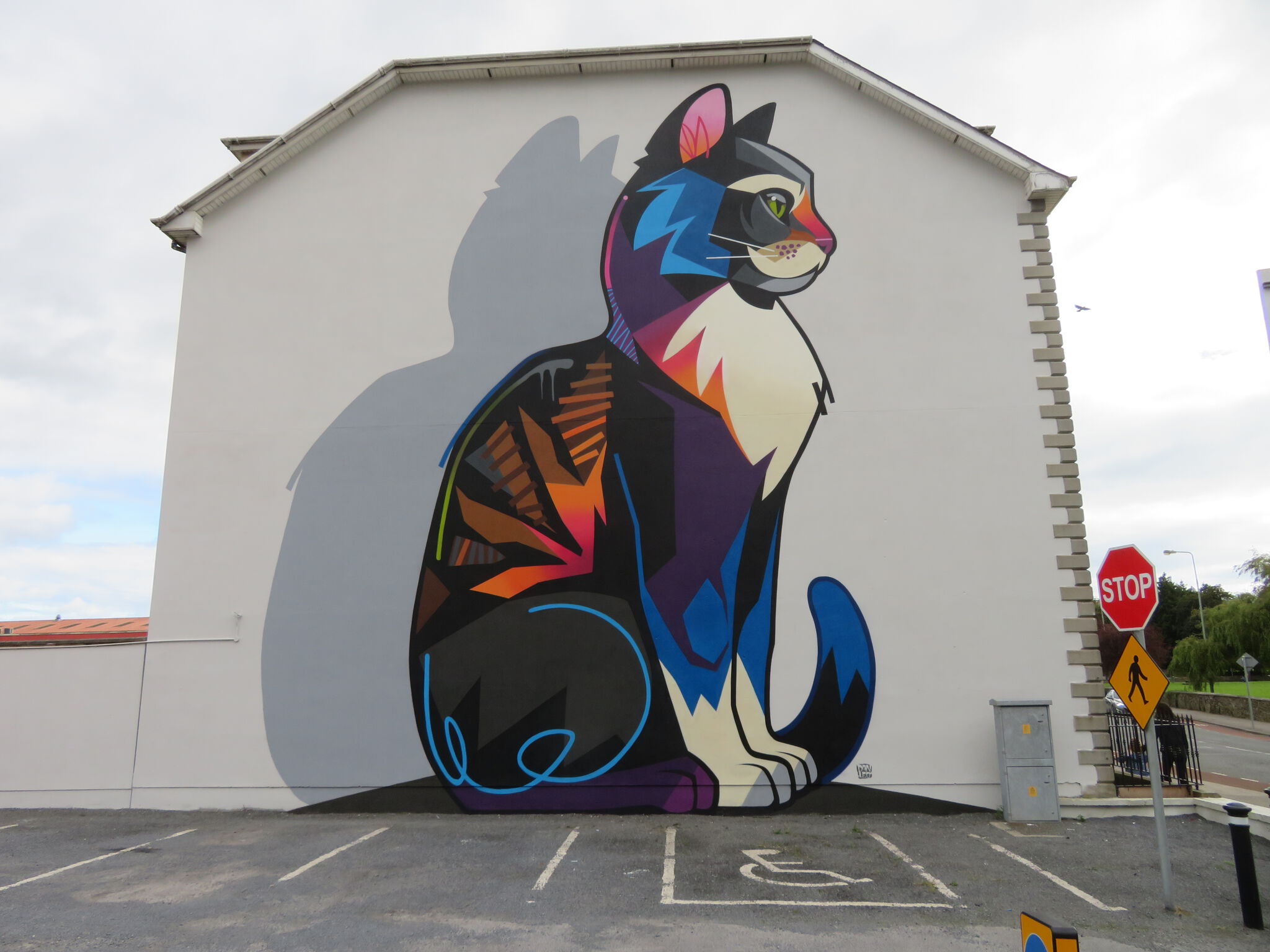 Dan Leo&mdash;Cat