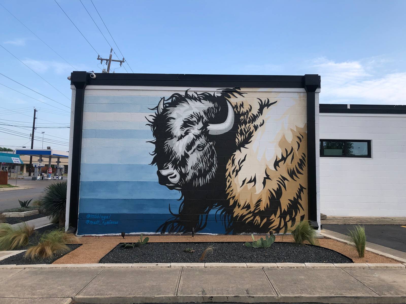 Matt Tumlinson&mdash;Bison or Buffalo?