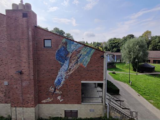 De IJsvogel
