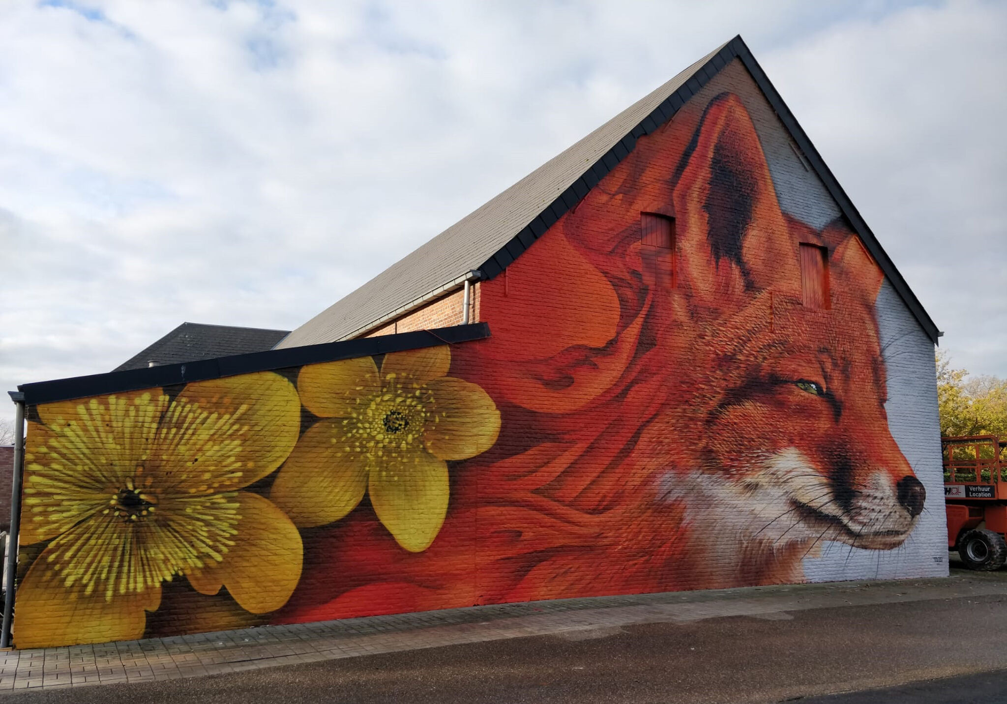 TUZQ&mdash;Kingcup Fox