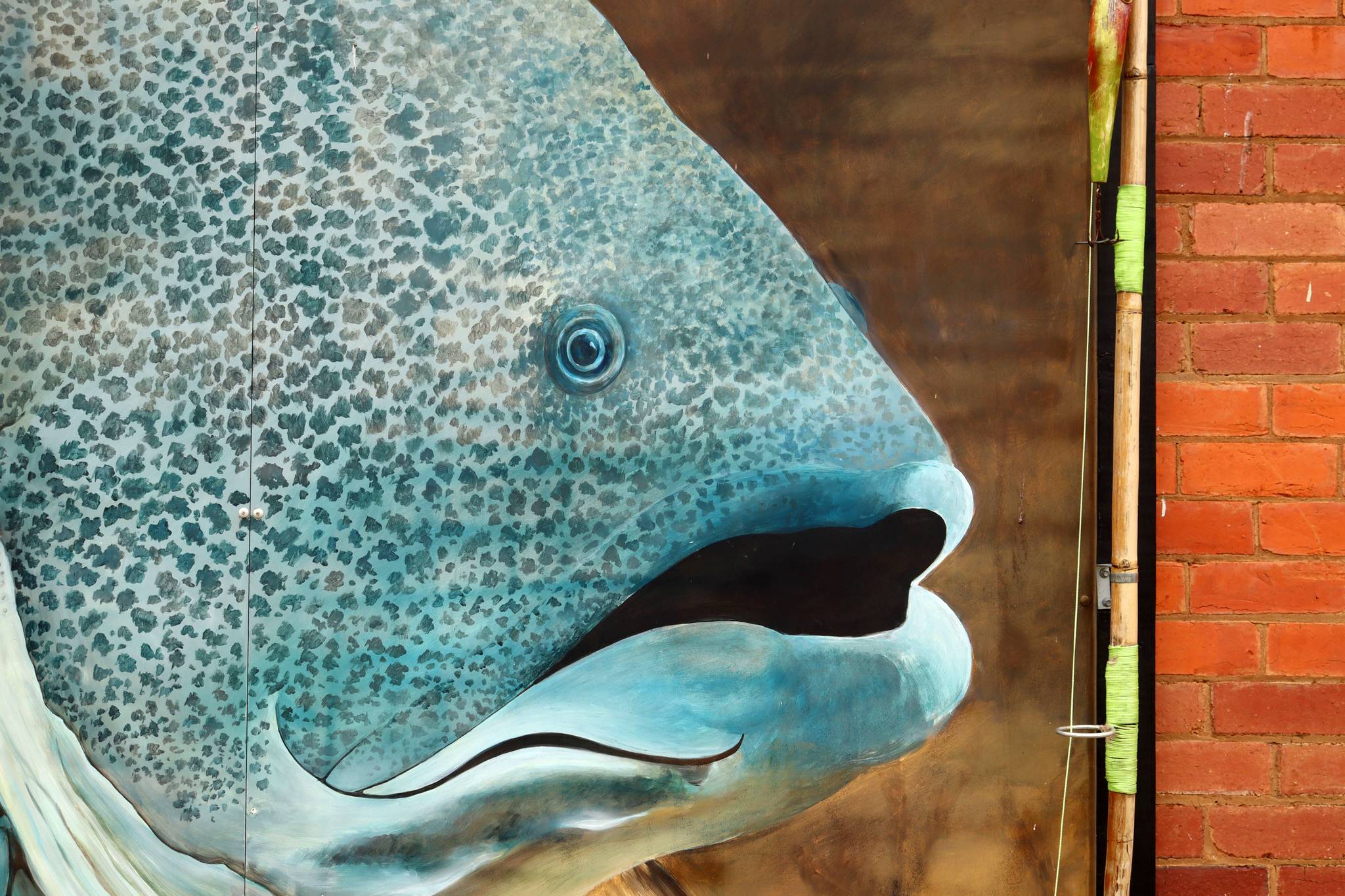 Unknown - Echuca&mdash;Murray Cod