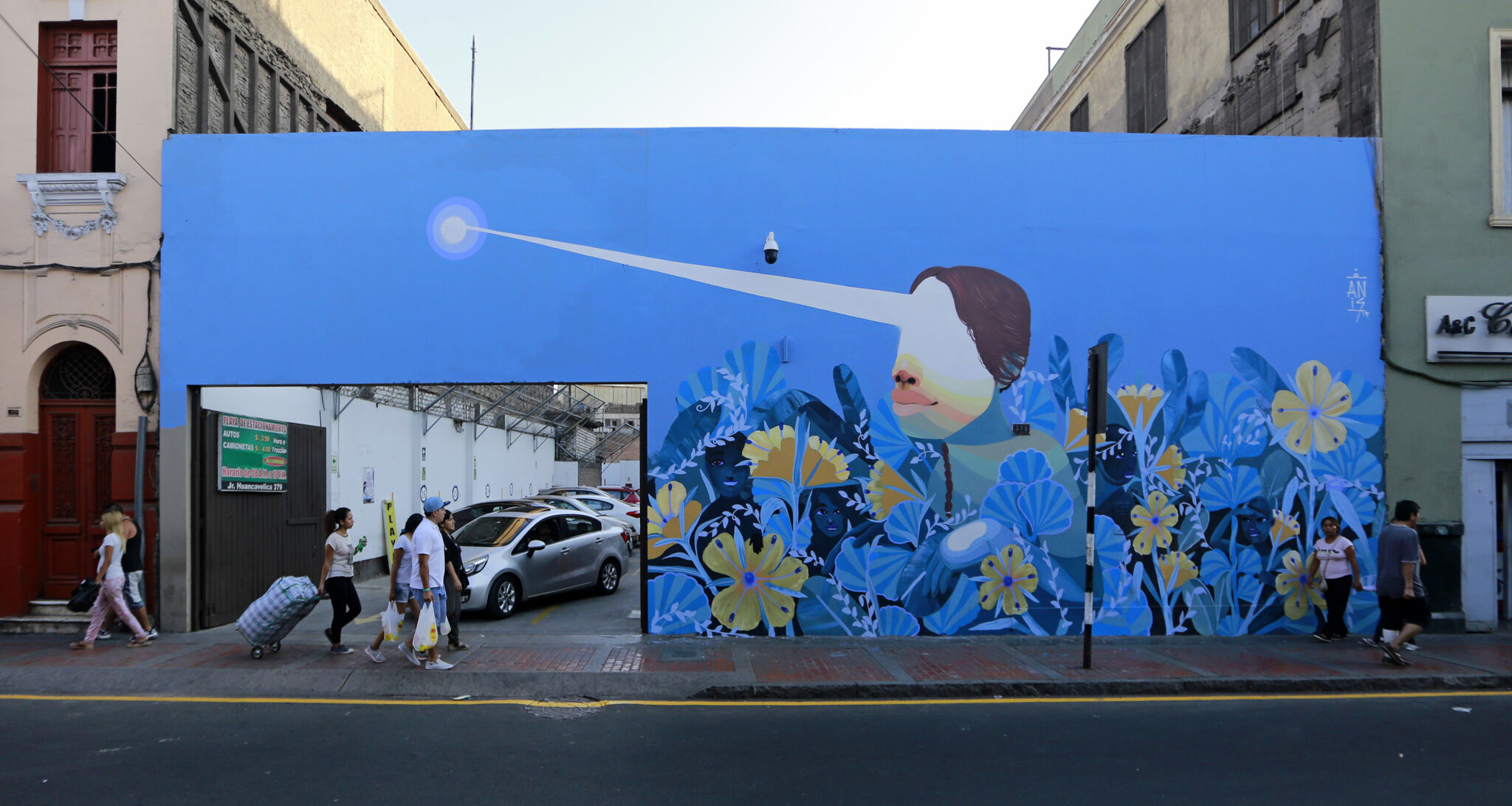 Anis&mdash;Flor de Amancaes