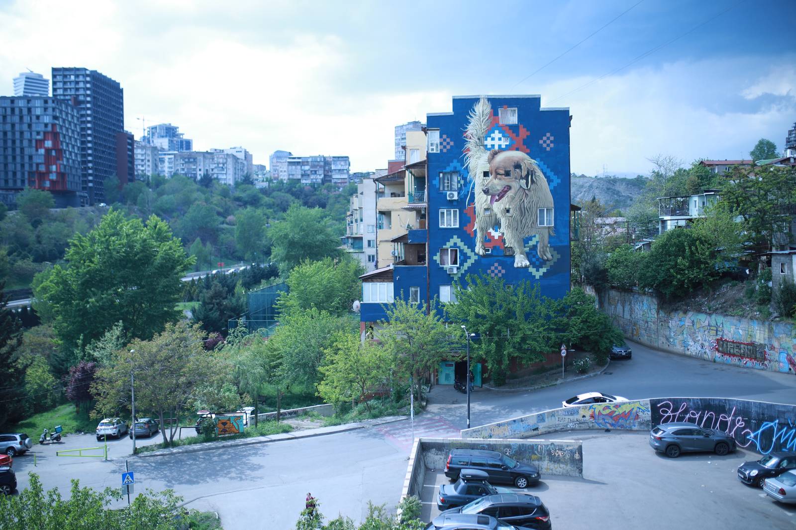 Matthias&mdash;Street Dog