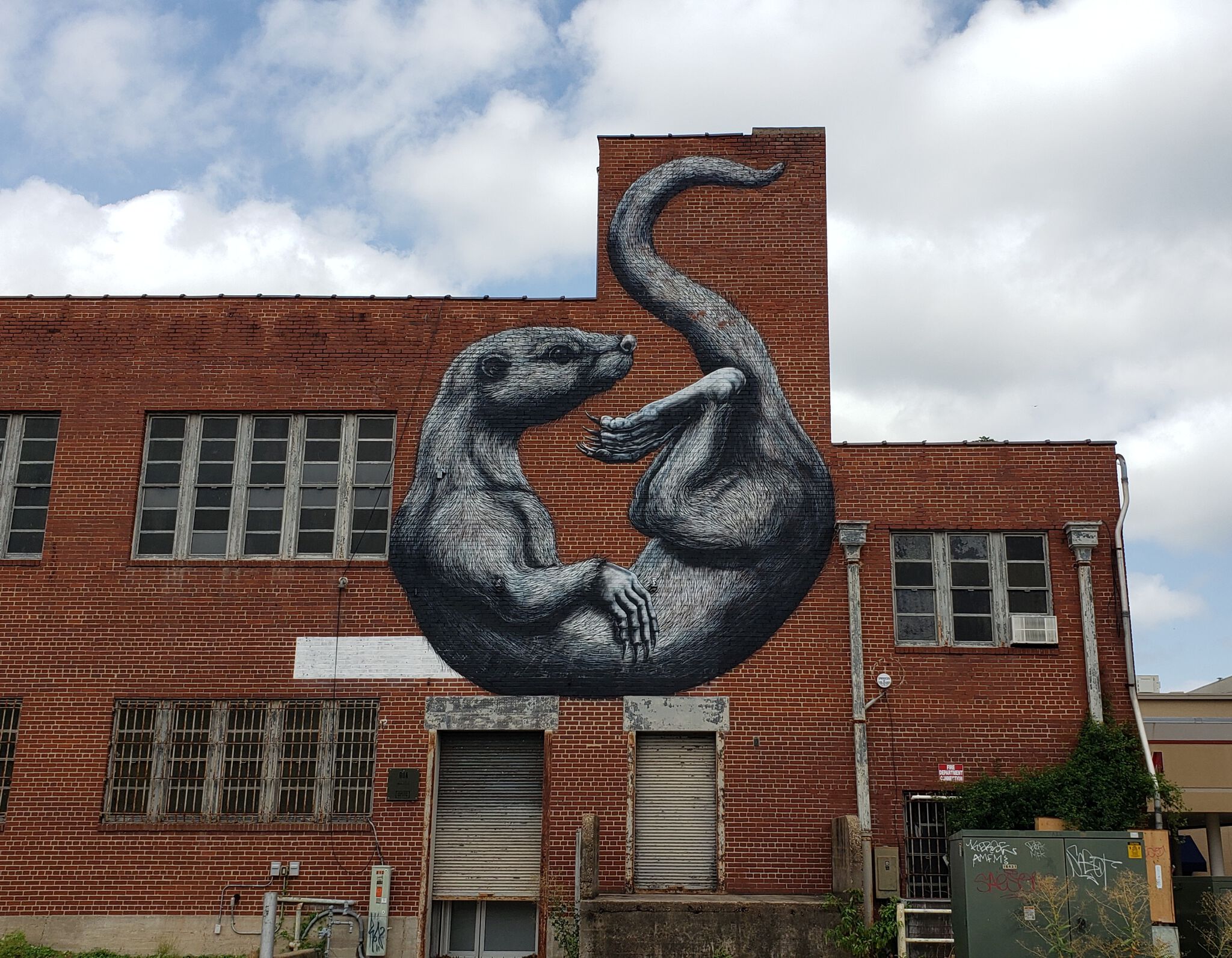 Roa&mdash;The Otter