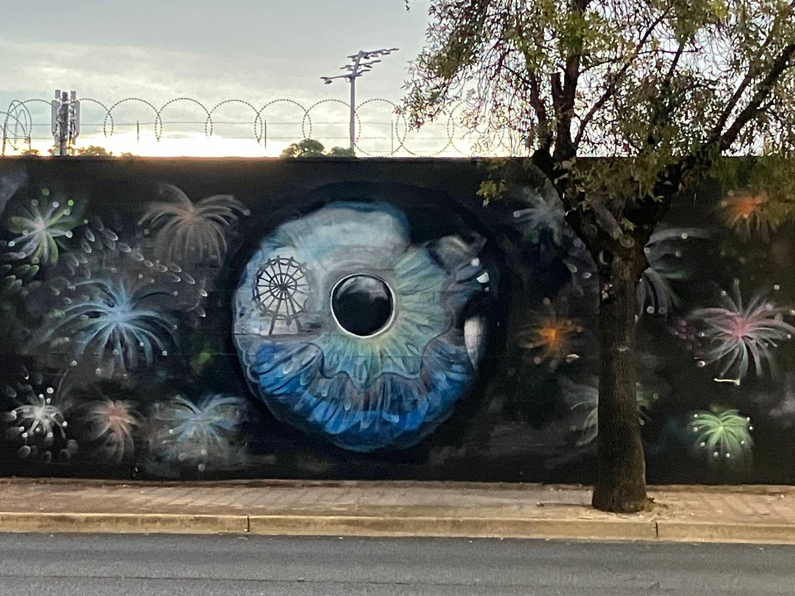 Unknown - Adelaide&mdash;undefined