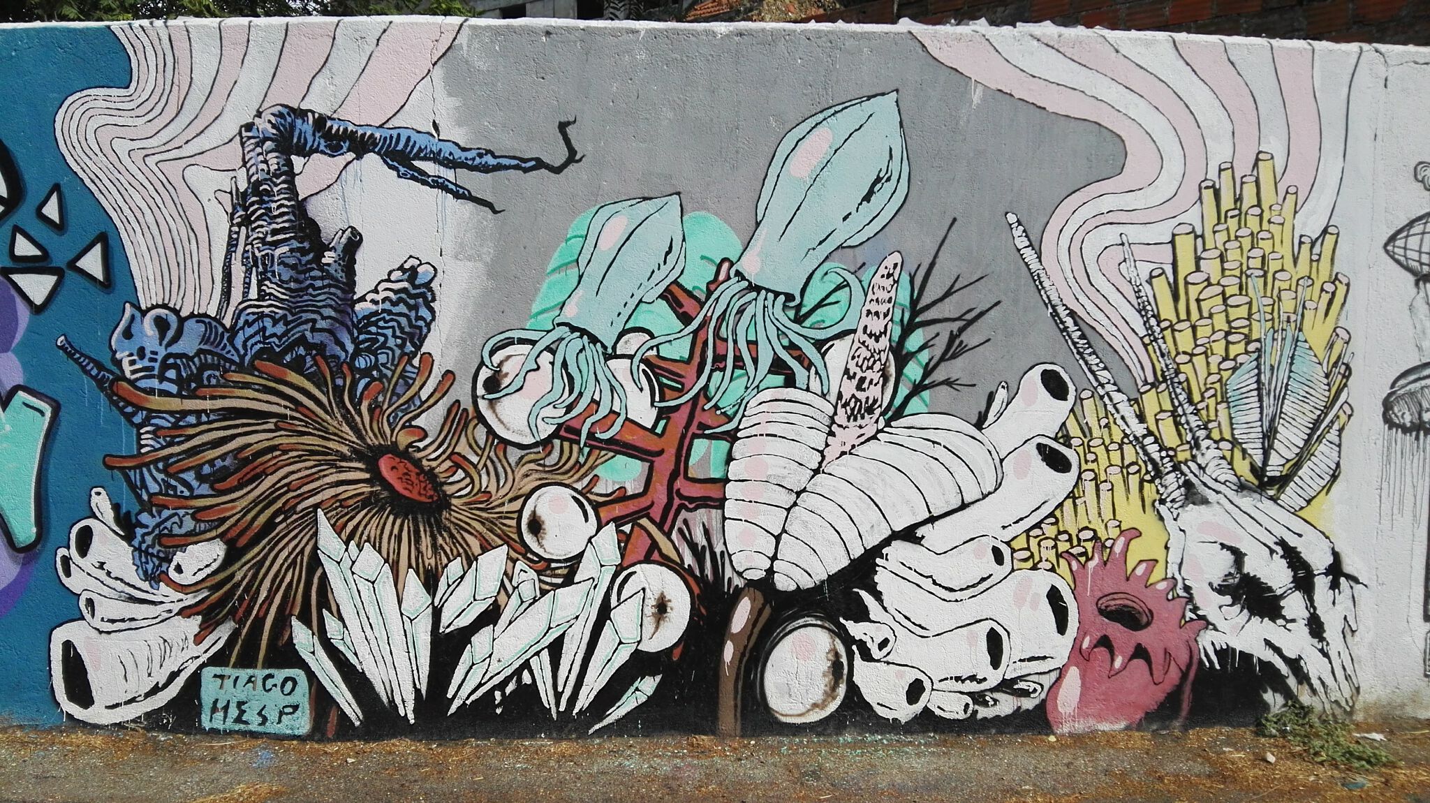 Tiago Hesp&mdash;under water