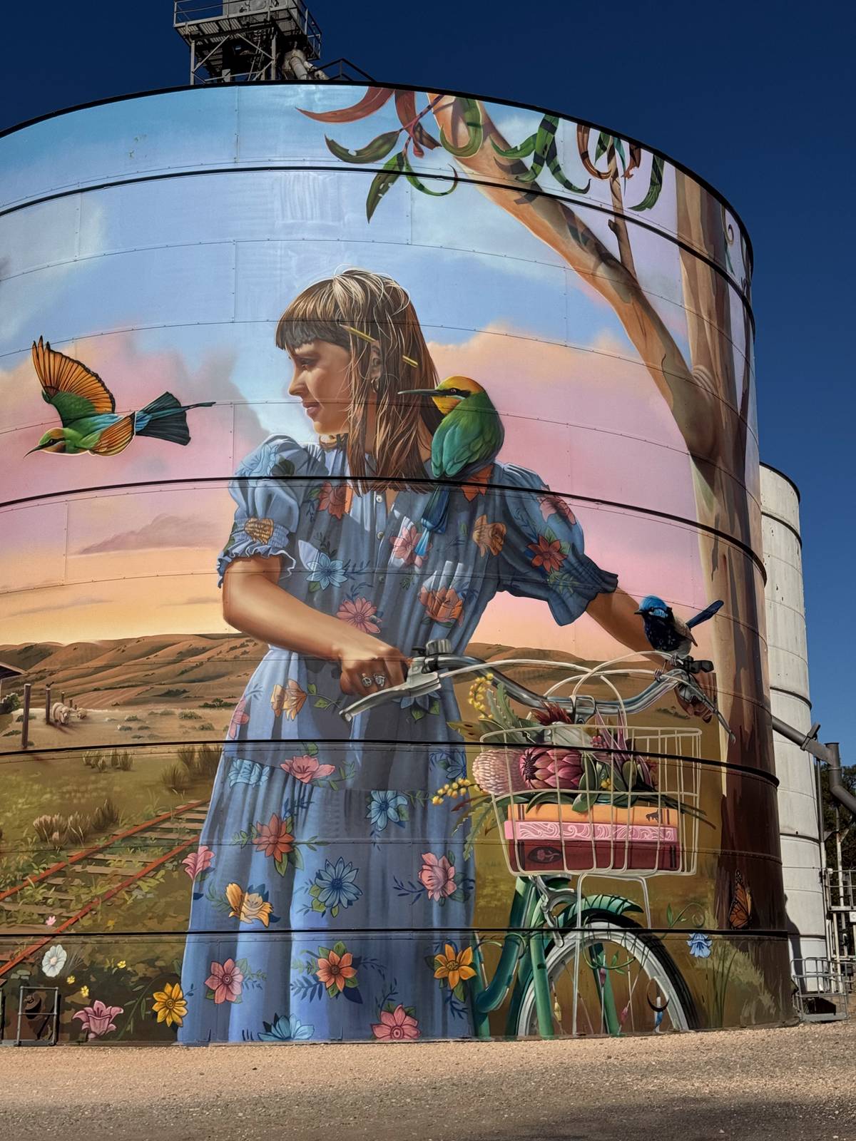 Scott Nagy, Krimsone&mdash;Bute Silo