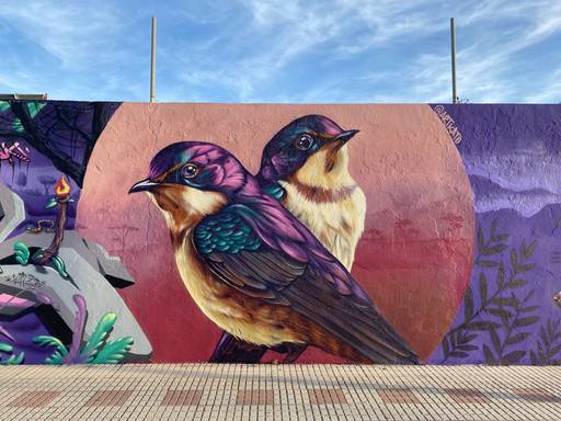 The love of the swallows