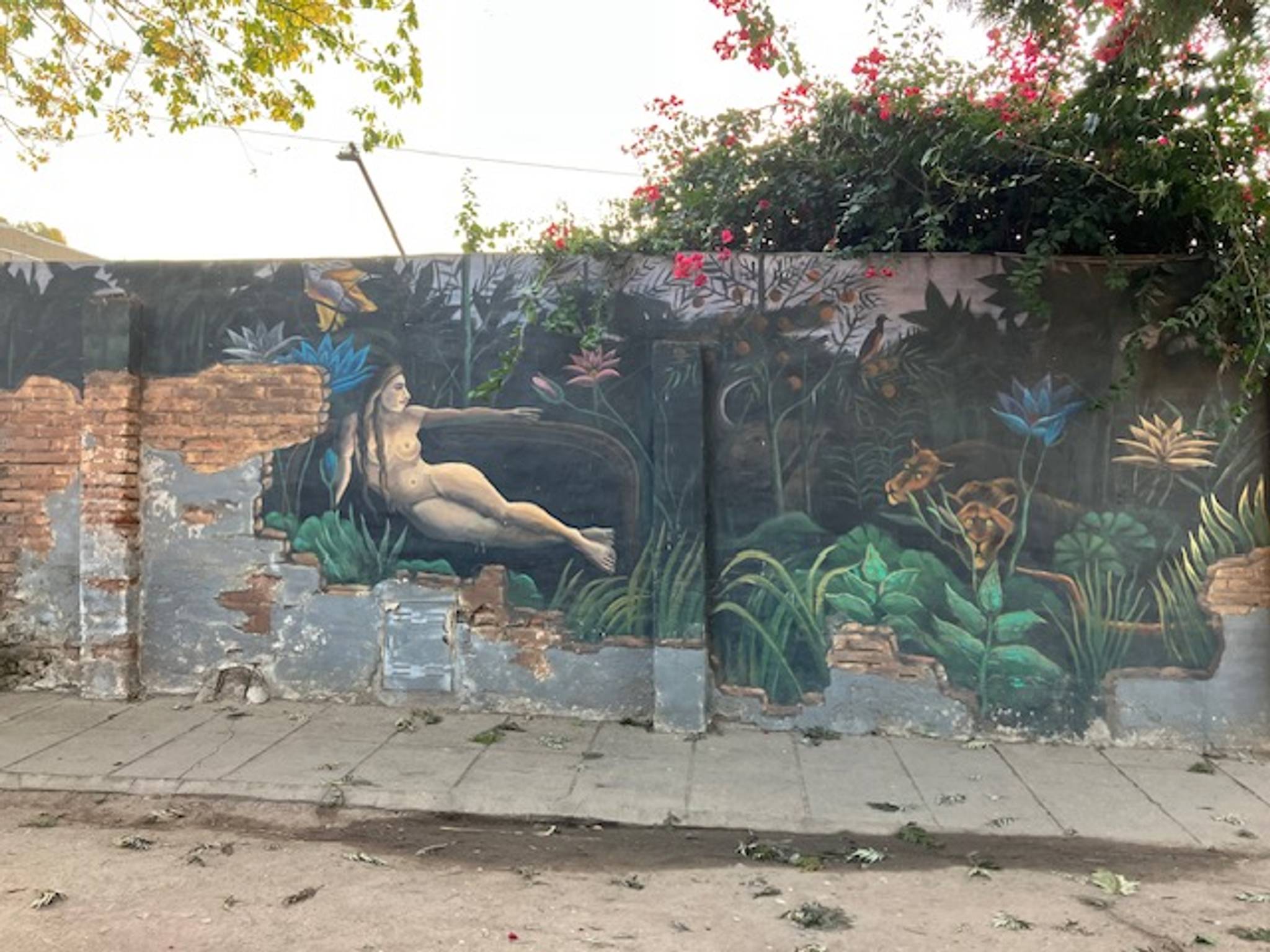 Leonardo Aguaisol&mdash;Animal