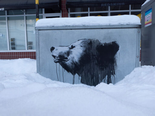 Roar on power box