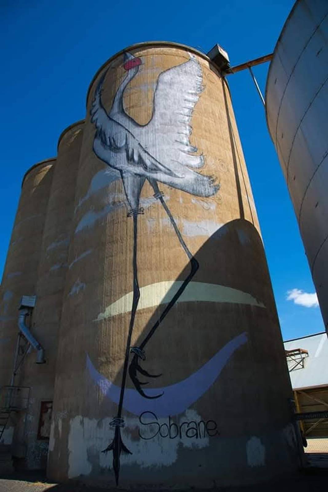 Sobrane&mdash;Tungamah Silo Art No. 2