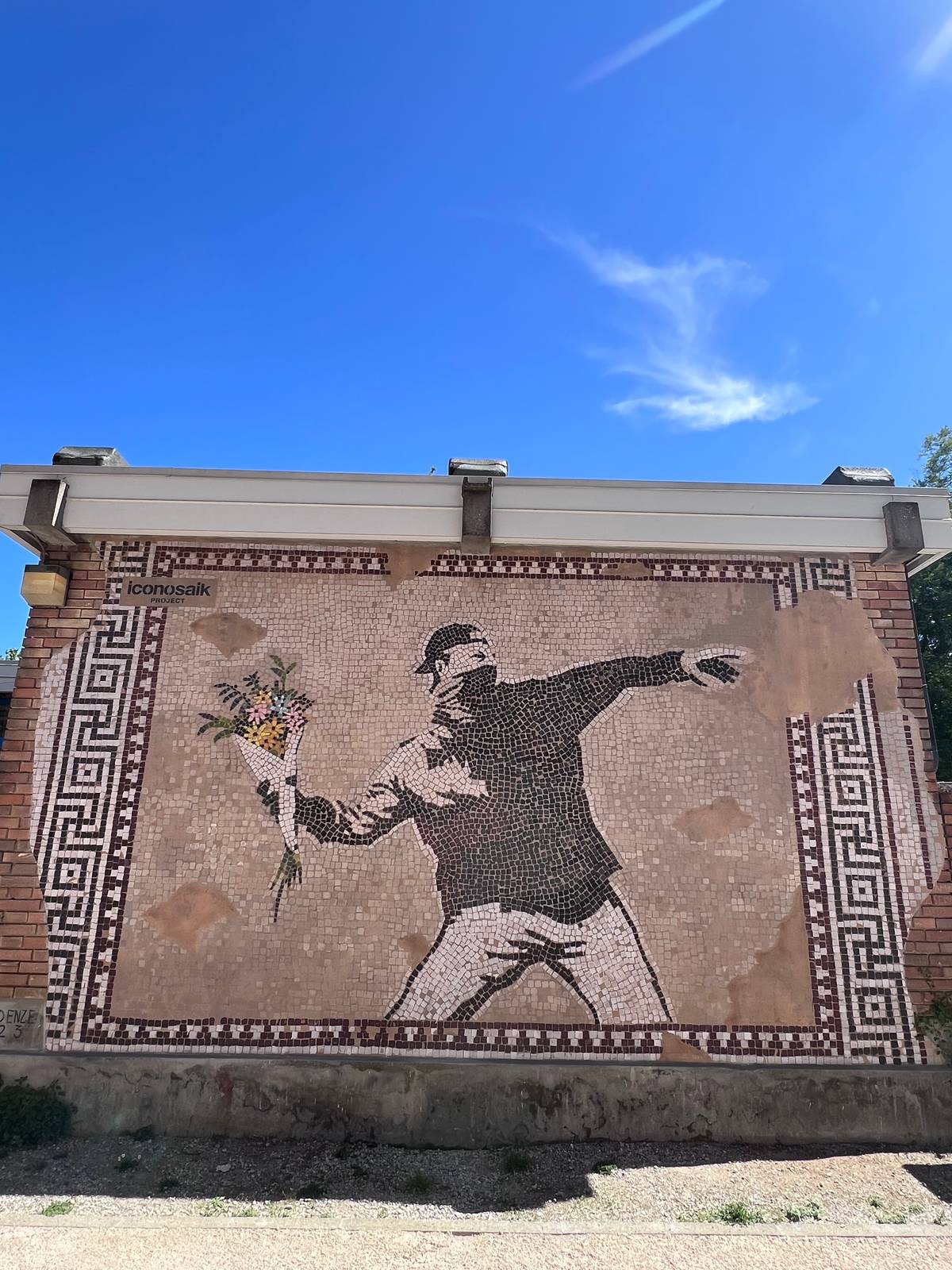 Refreshink&mdash;The flower thrower (homage to Banksy)