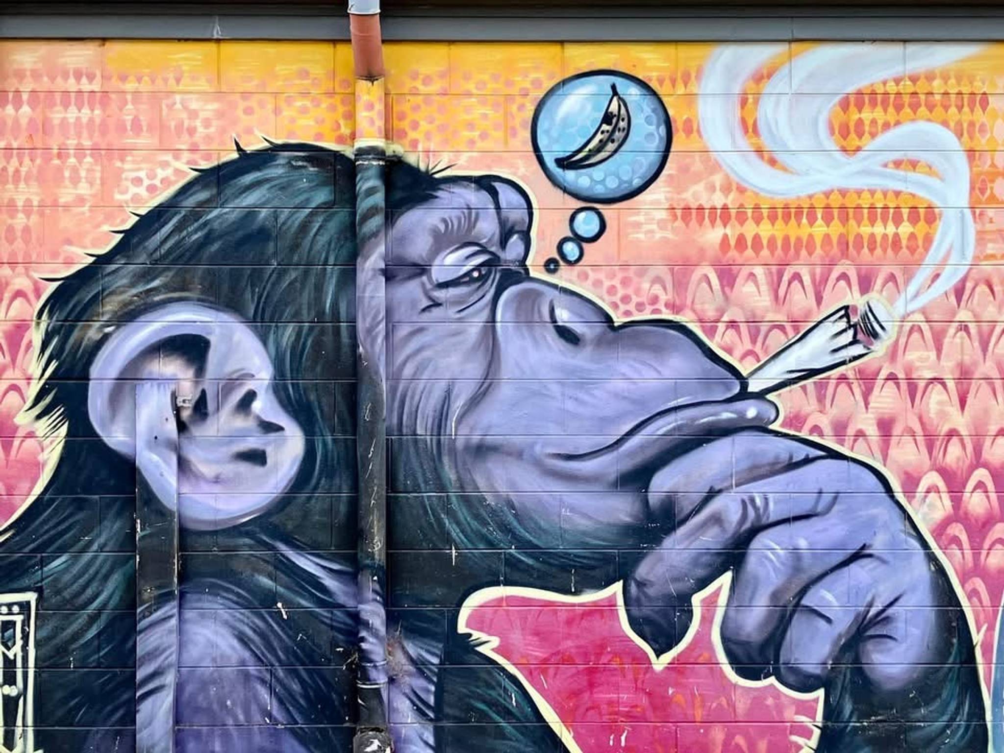 Unknown - Adelaide&mdash;undefined