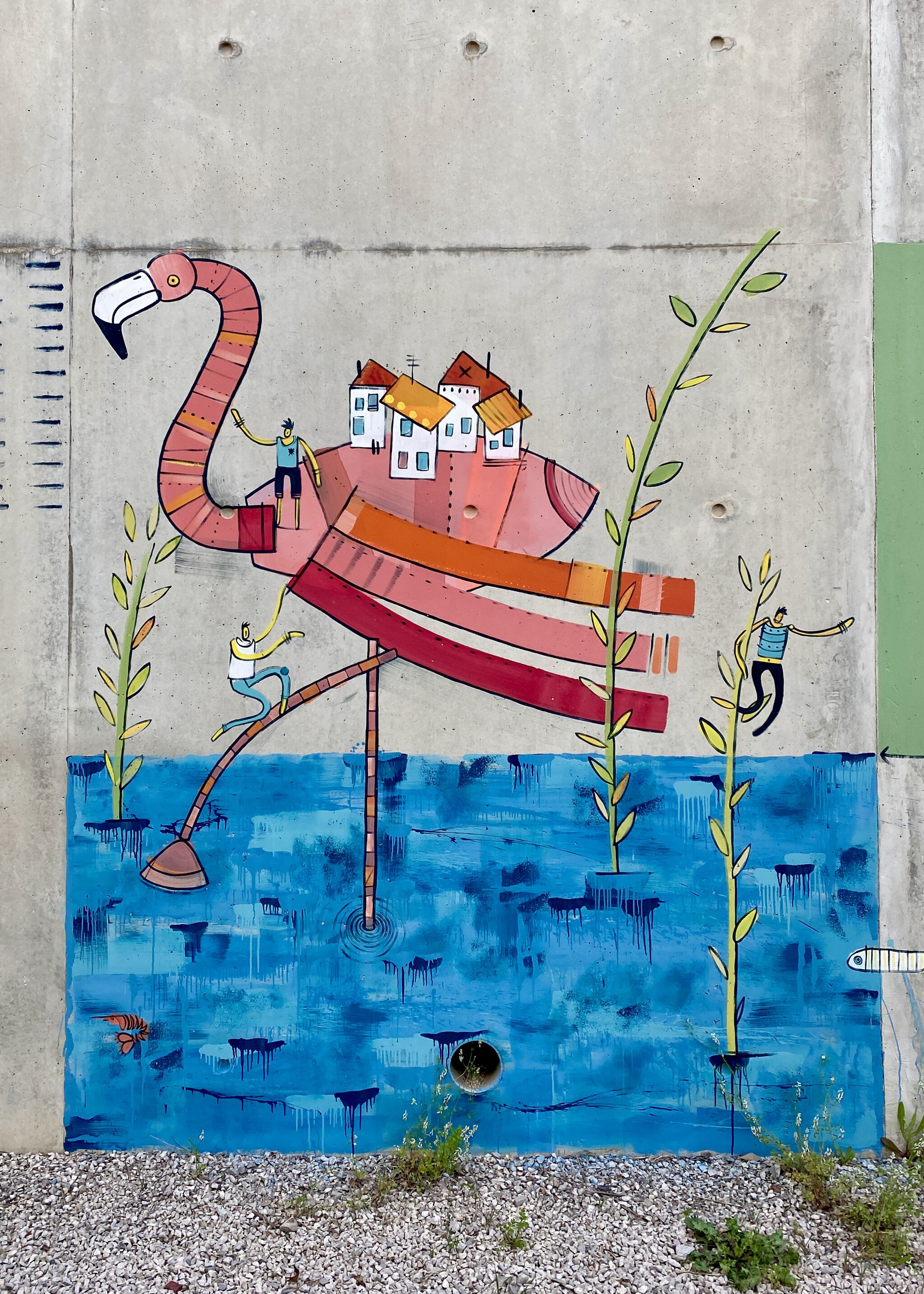 Adec&mdash;Flight of the Flamingos at St Eloi Hospital