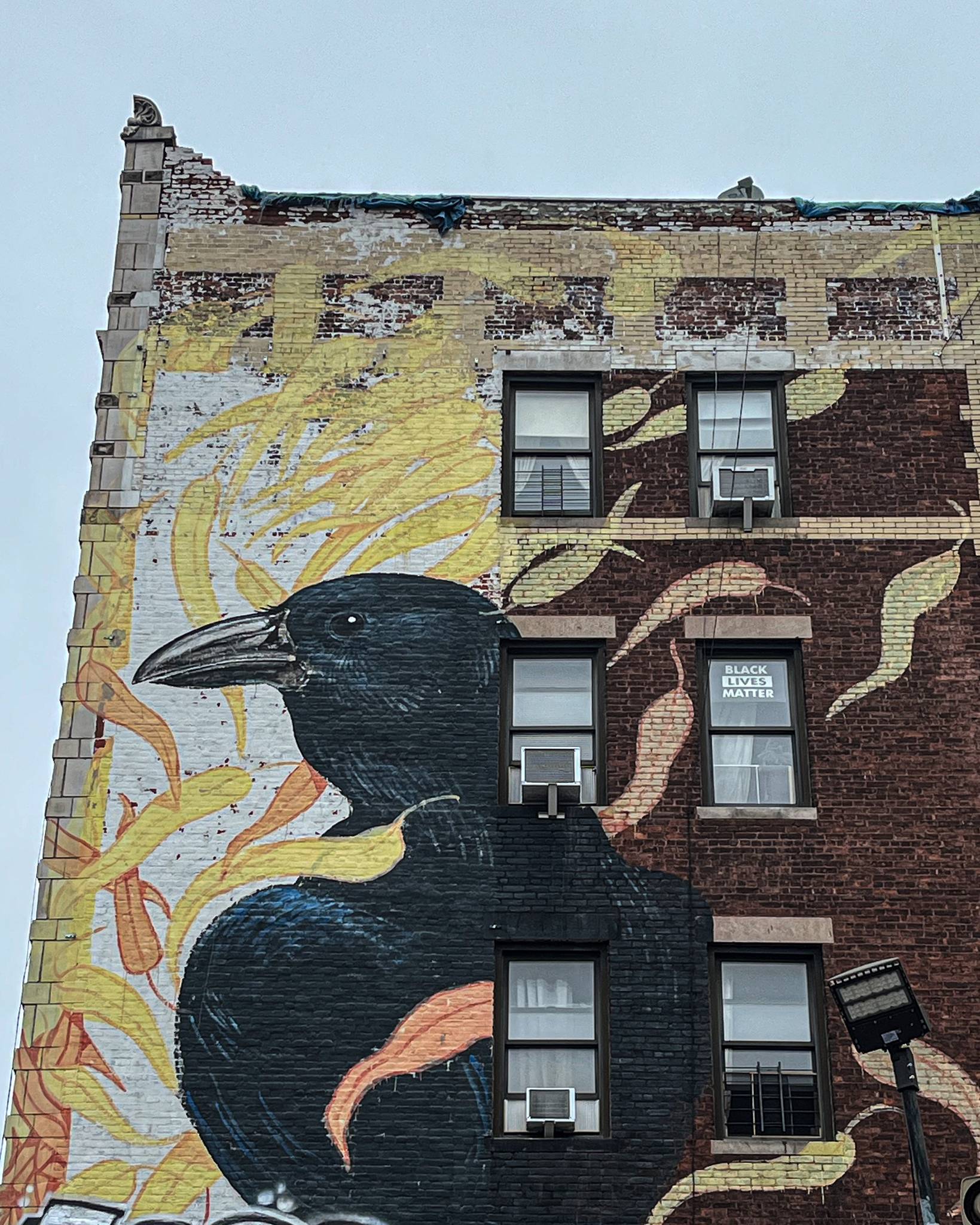 Various Artists&mdash;Images from the Audubon Murals Ptoject