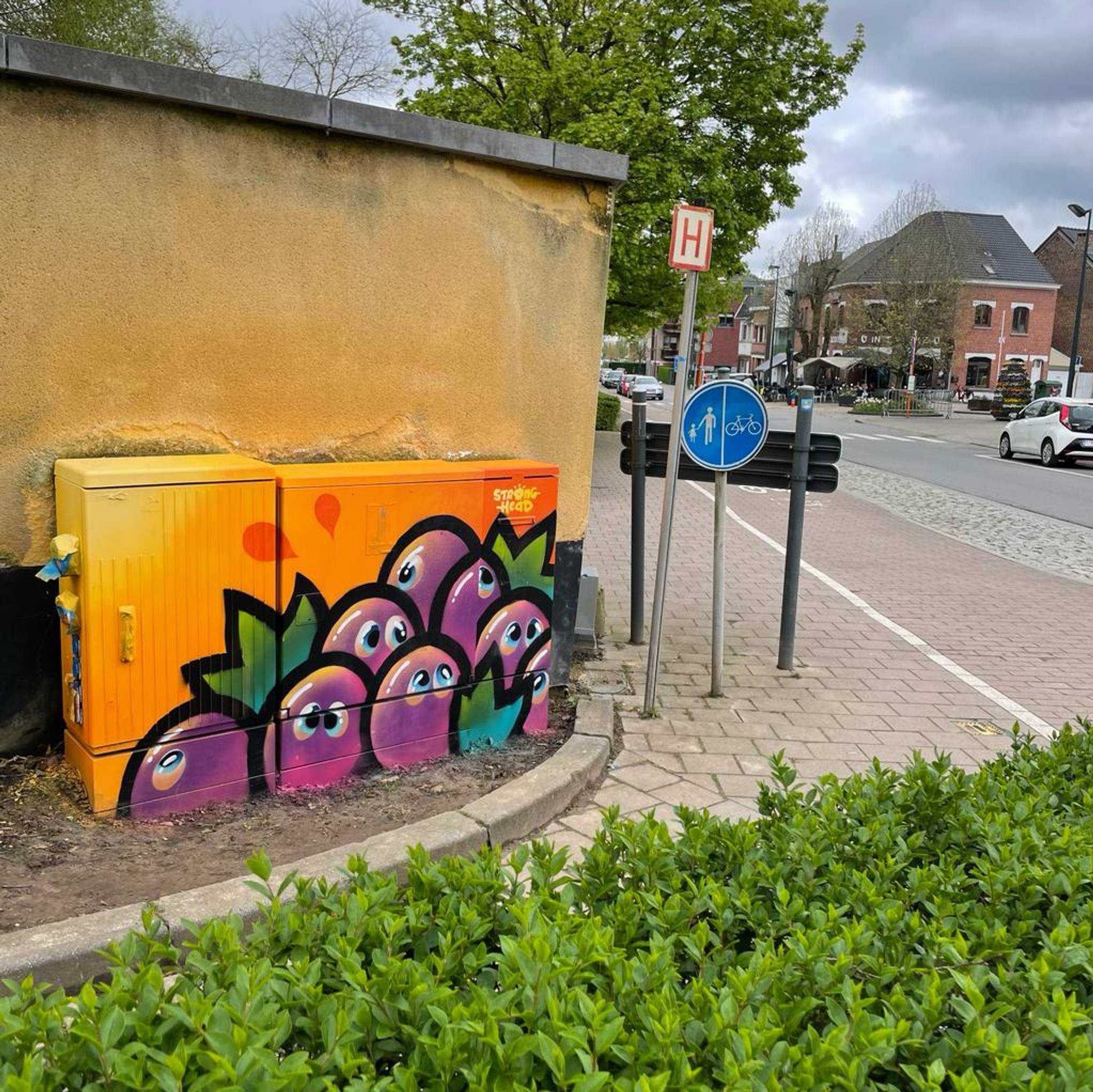 Stronghead&mdash;Tour Elentrik - Druifjes