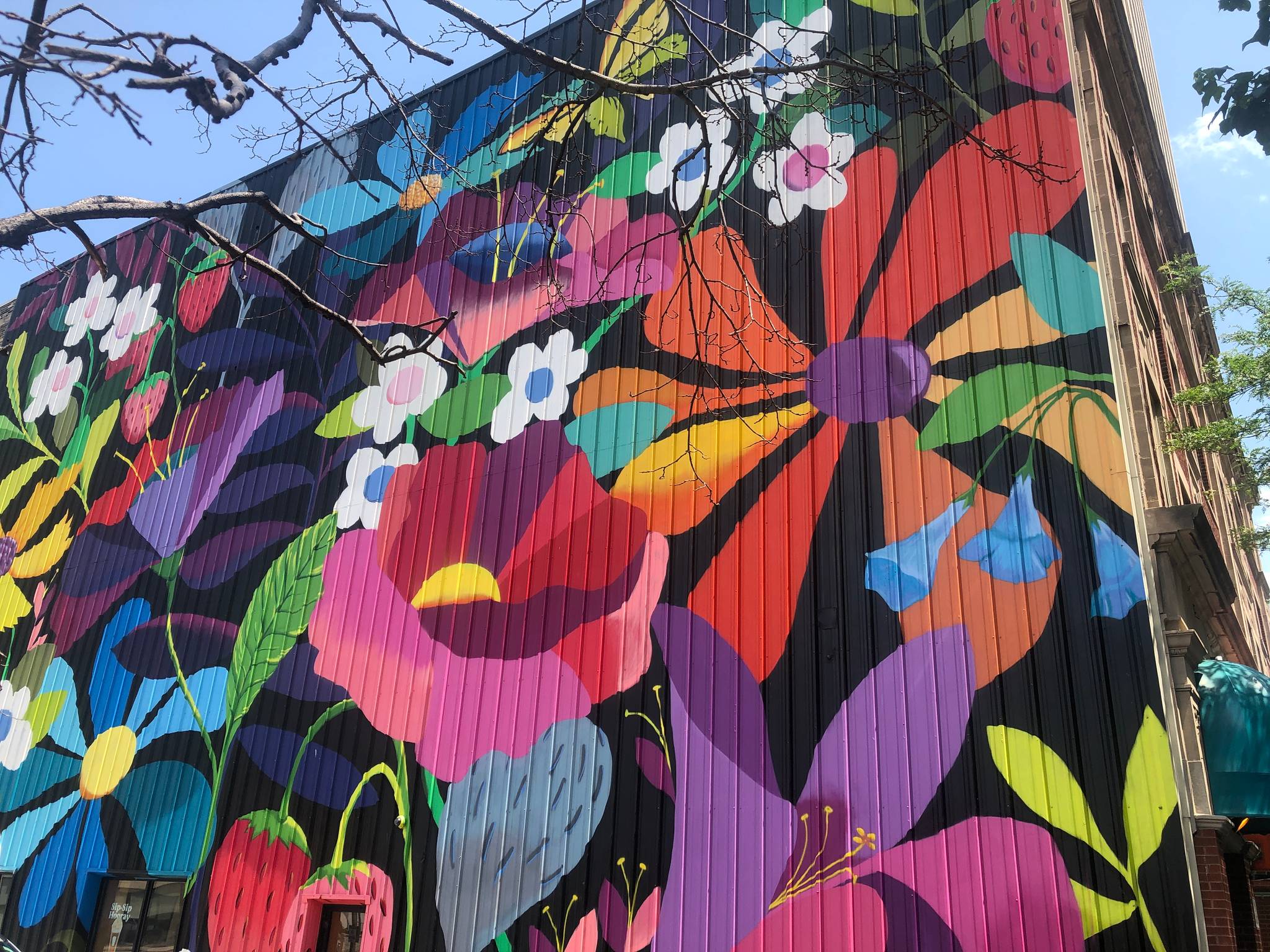 Emma Daisy Gertel&mdash;WESTOWN IN BLOOM