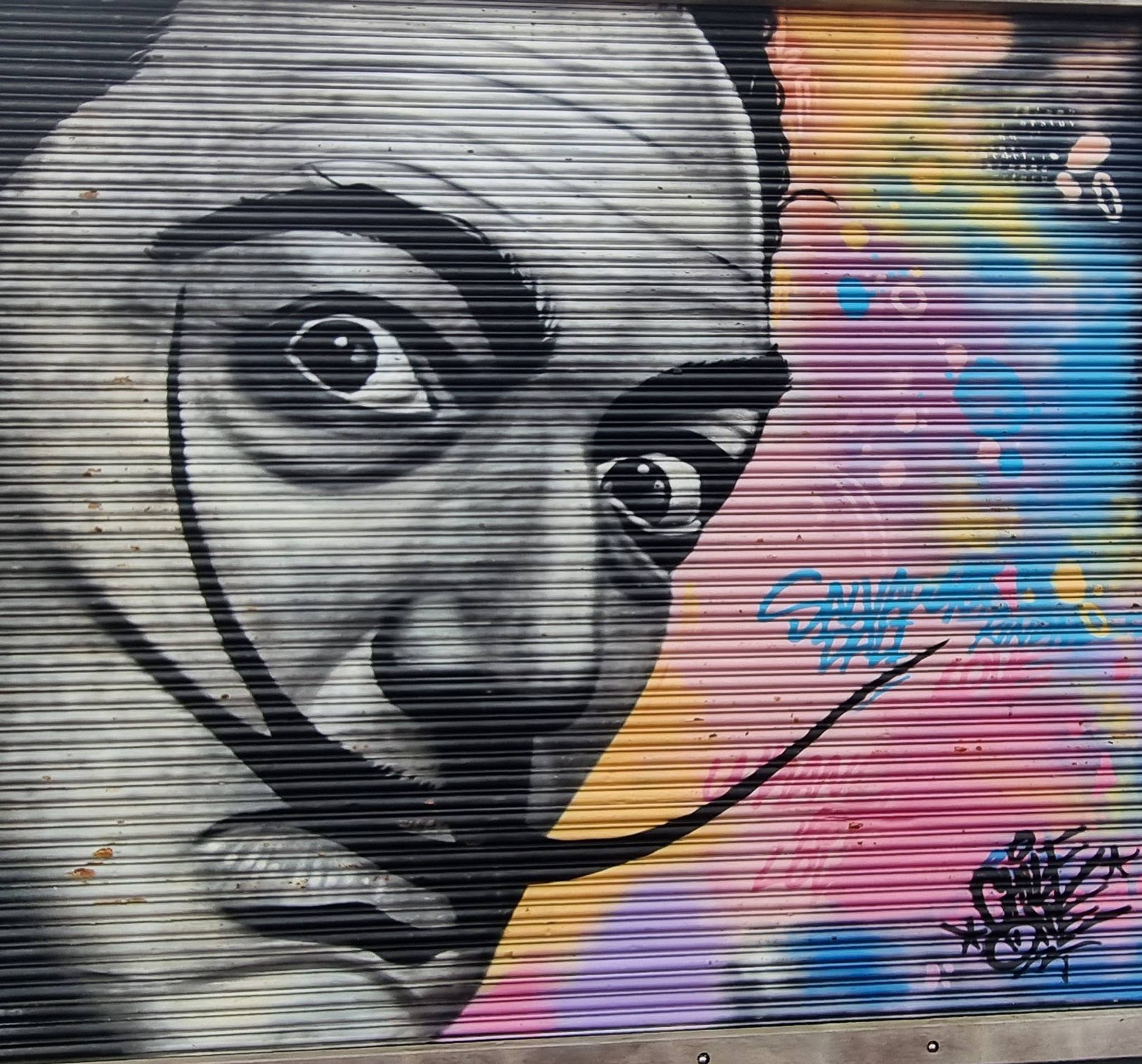 Rodrigo Rozas&mdash;Salvador Dali