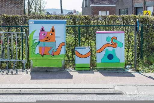 Tour Elentrik - Een toffe kater