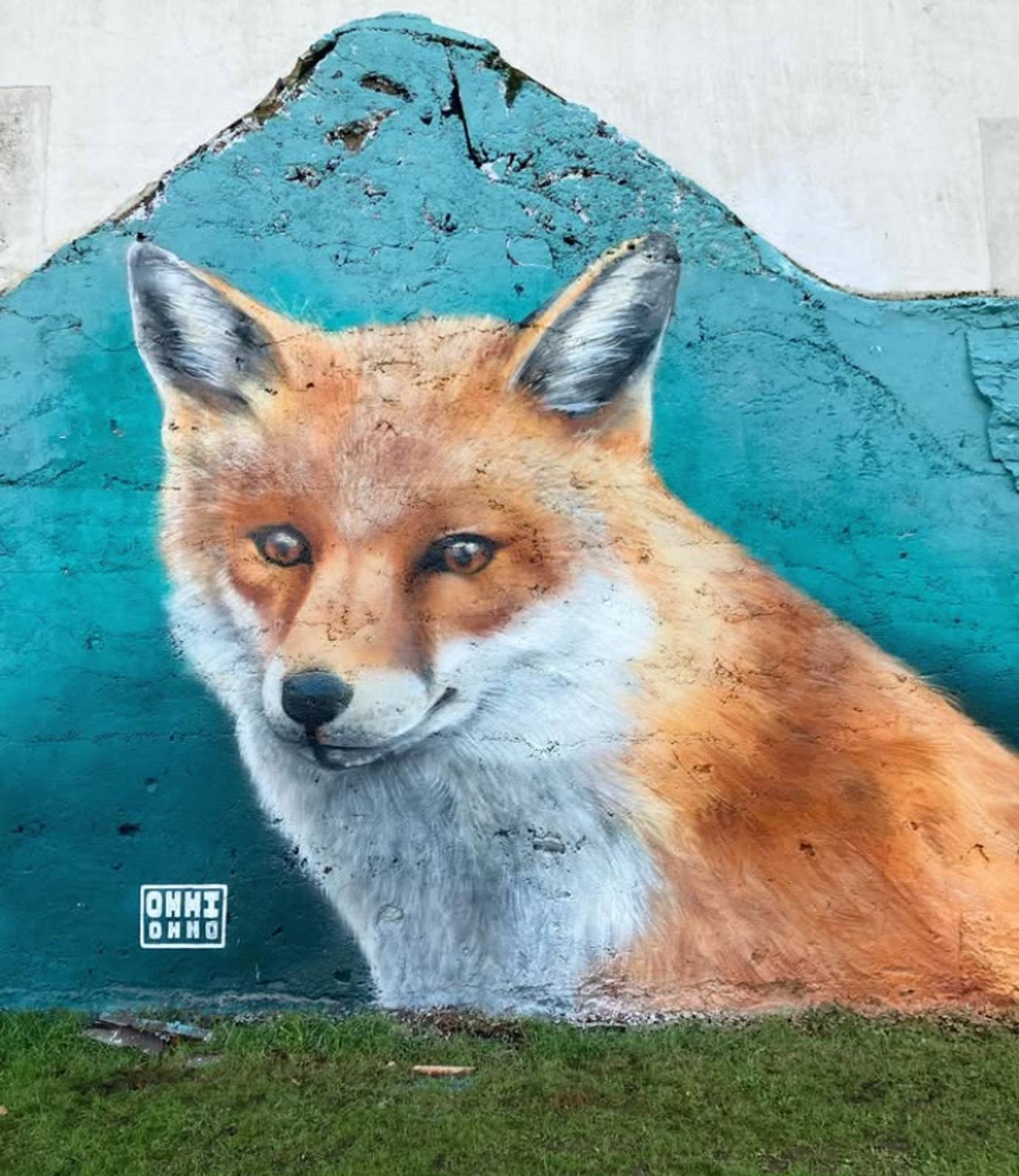 Ohhi-ohno&mdash;Fox
