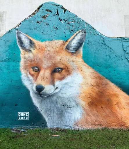 Fox