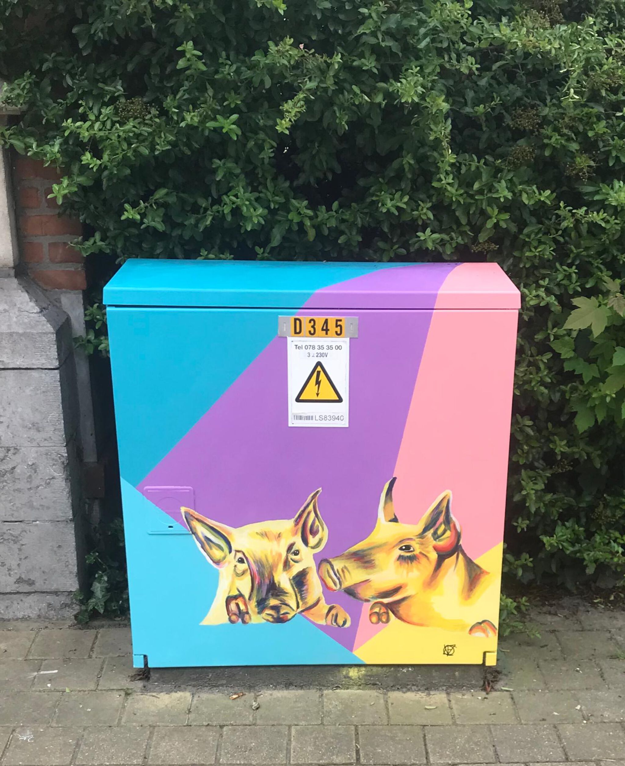 Febe Van Der Cruyssen&mdash;Tour Elentrik - Liefdesvarken
