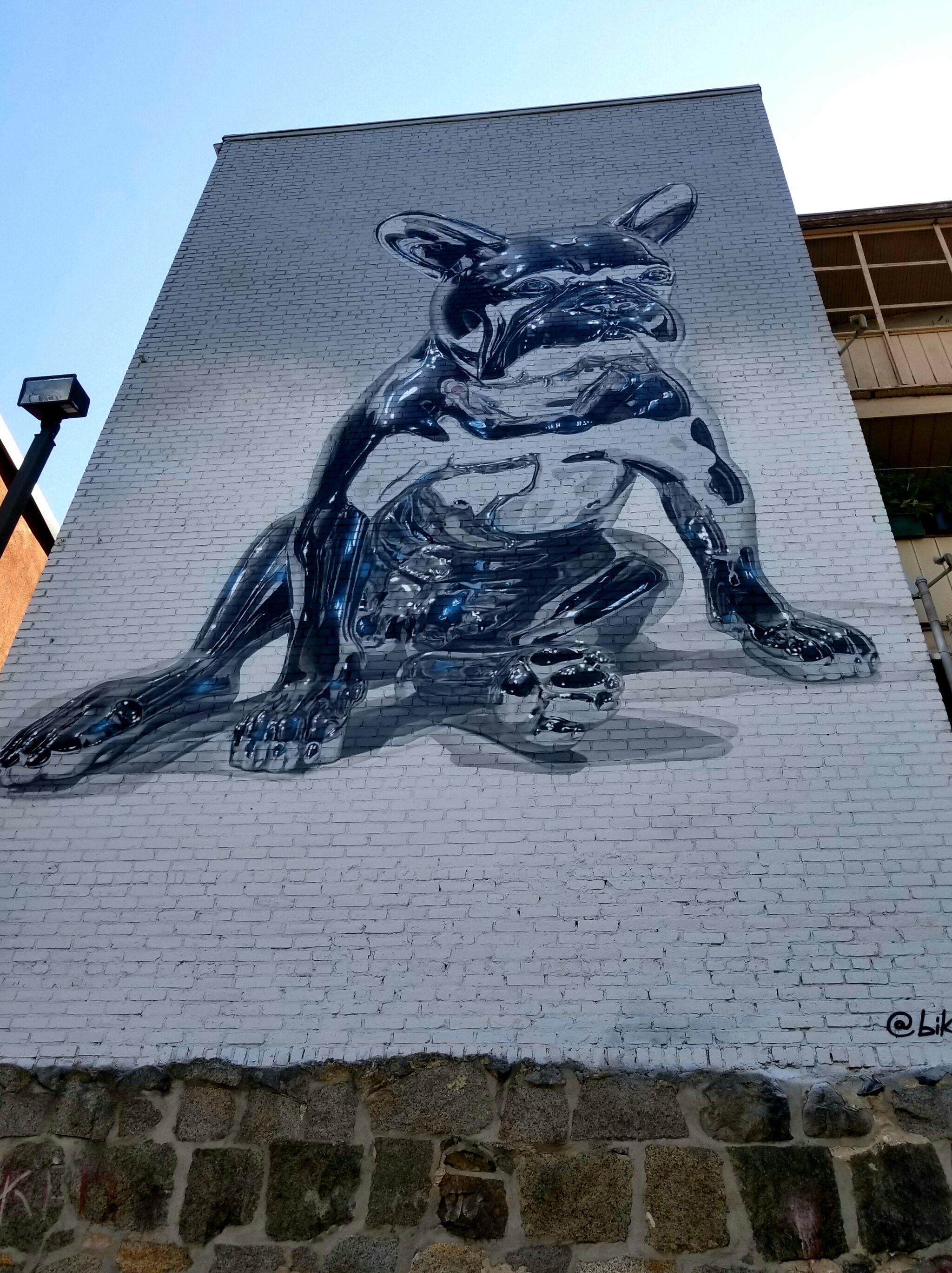 Bikismo&mdash;French Bulldog