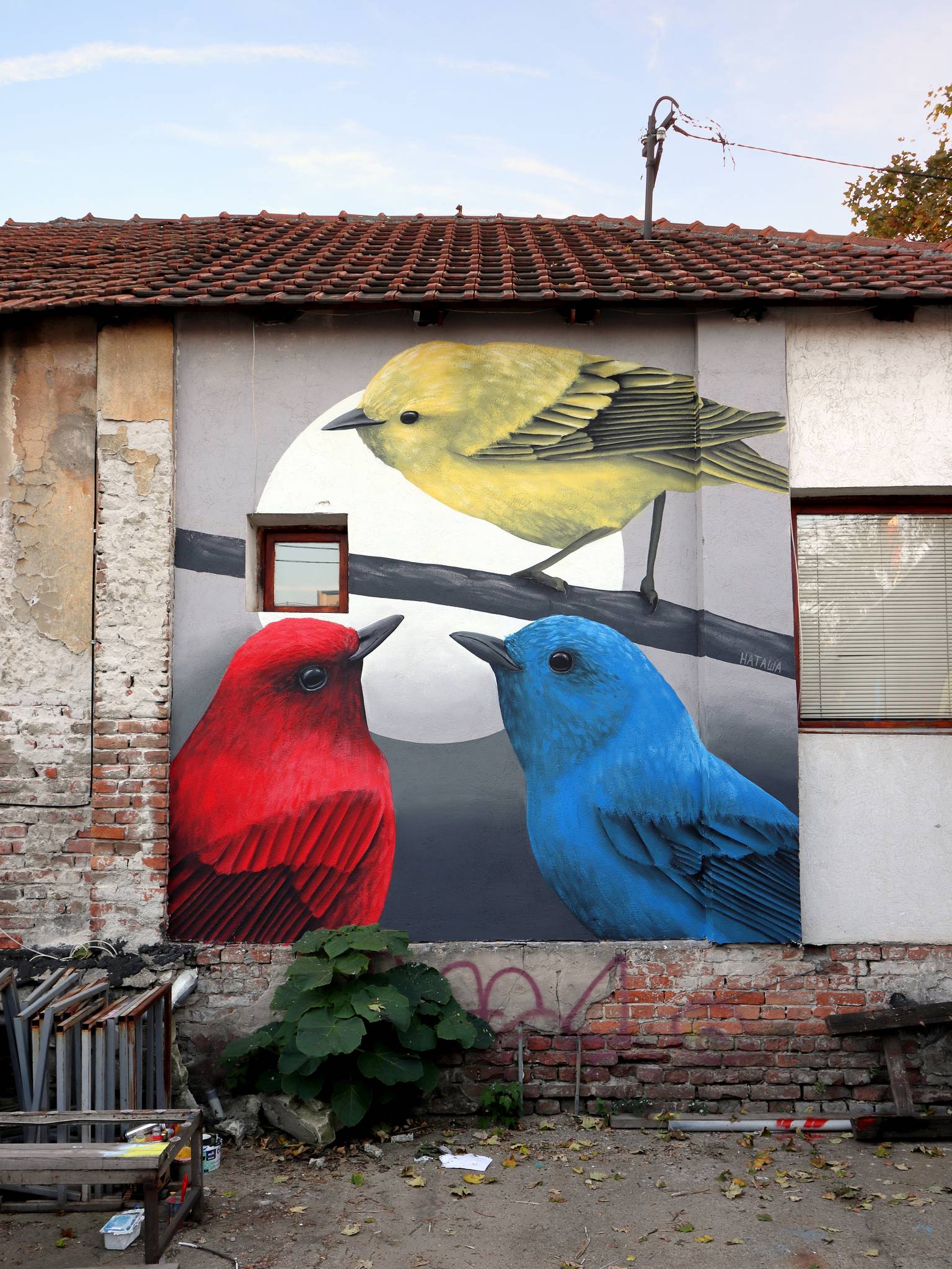 Nataša&mdash;Community