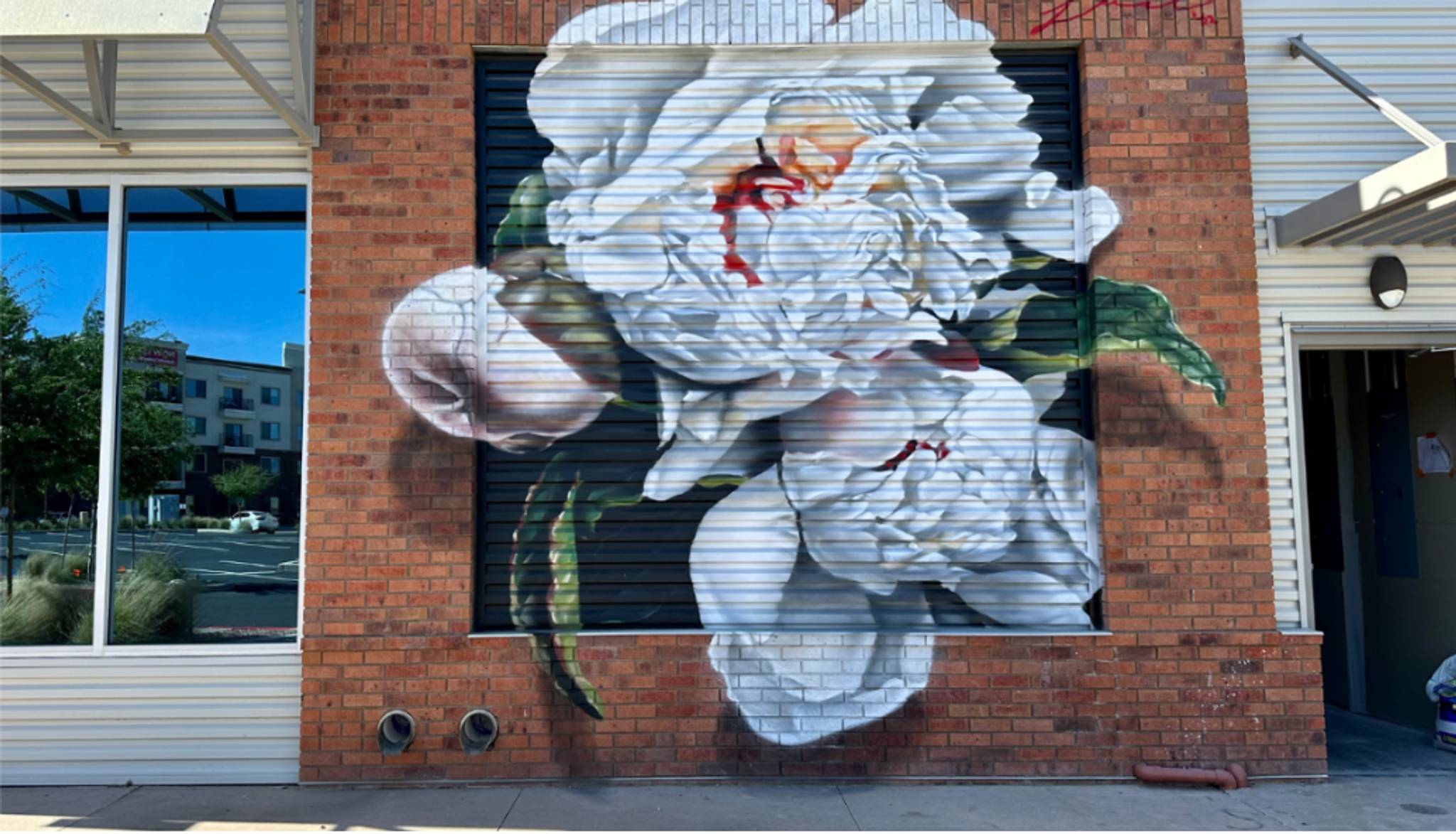Giovannie Dixon&mdash;The Peony
