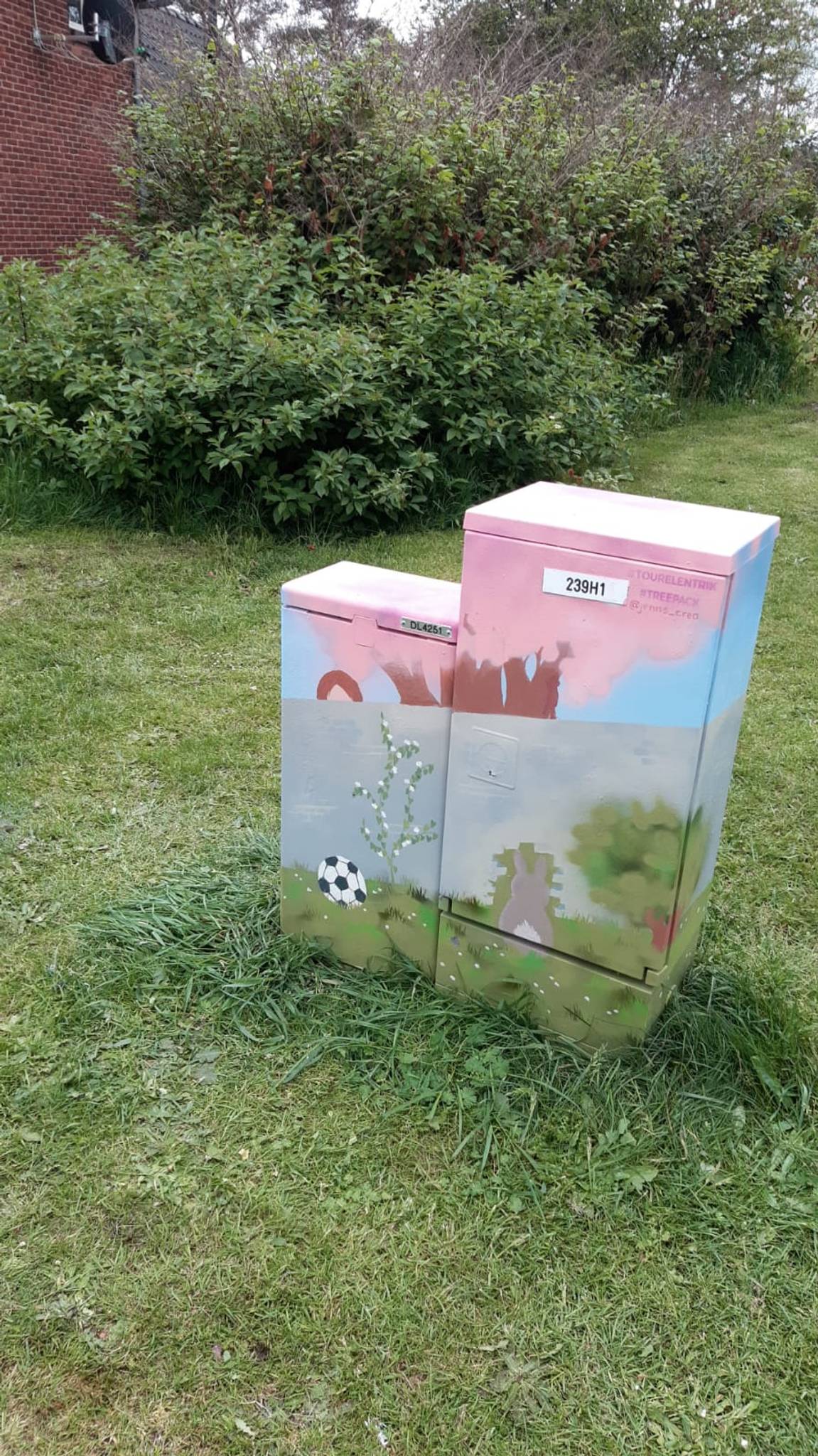 Jennifer Okele&mdash;Tussen natuur en cultuur