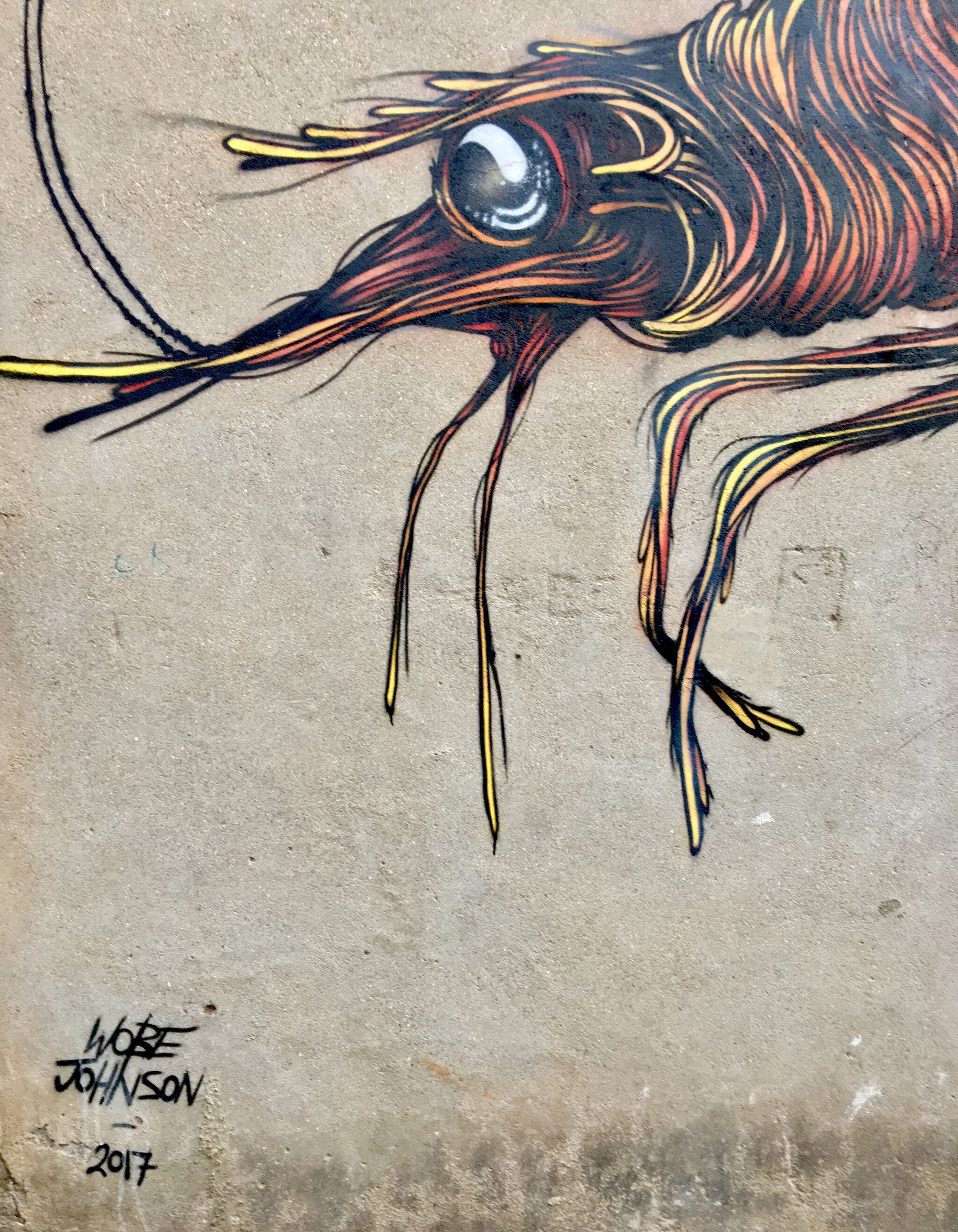 Wobe Johnson&mdash;Shrimp