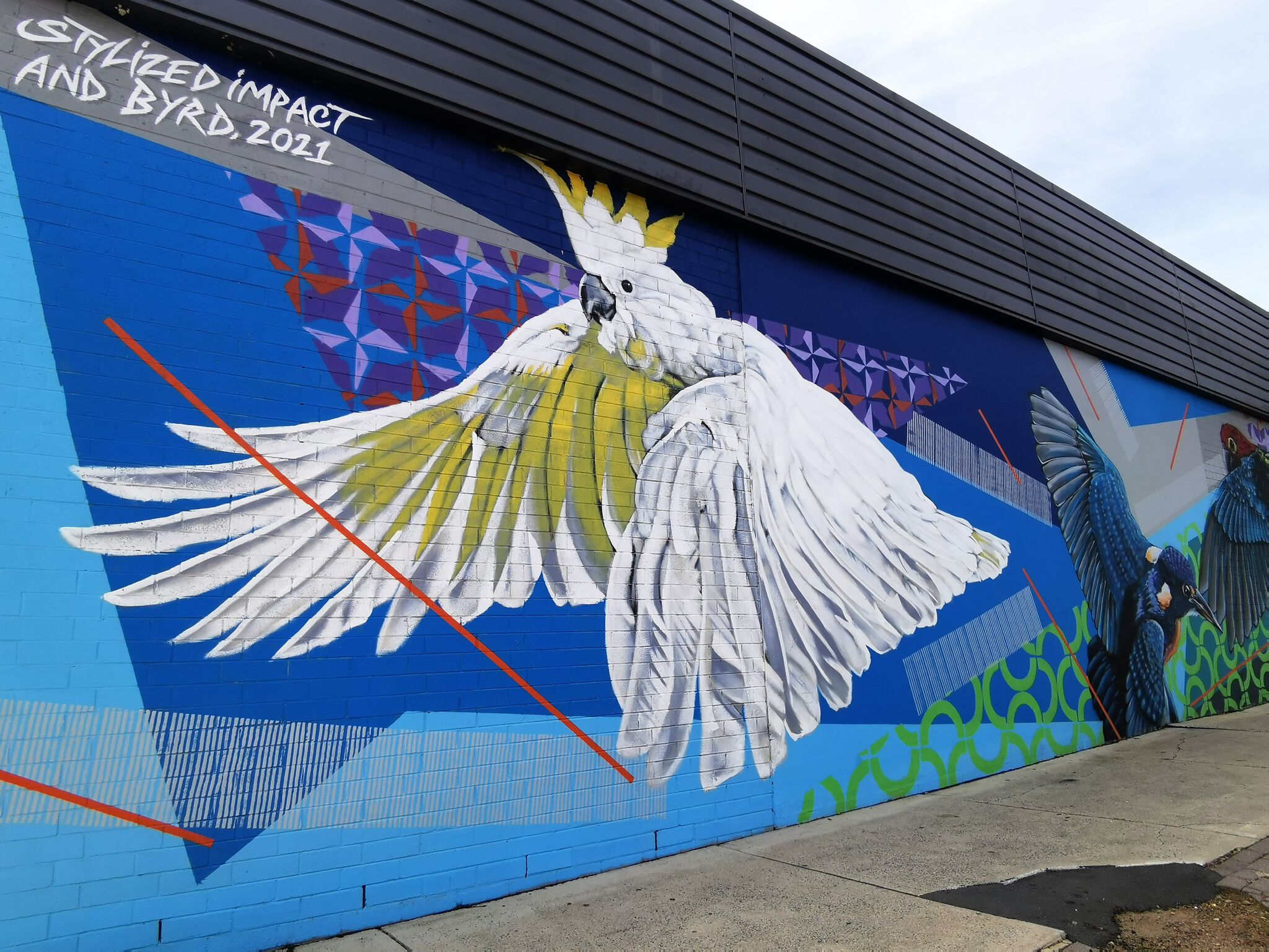 Stylized Impact, Byrd&mdash;Australian Native Birds