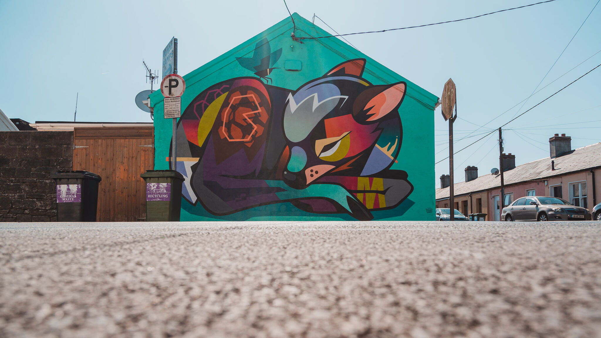 Dan Leo&mdash;Sleeping deer