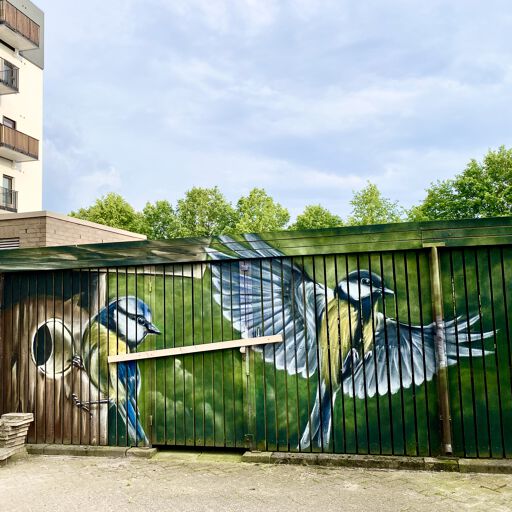 Two great tits (Twee Koolmezen)