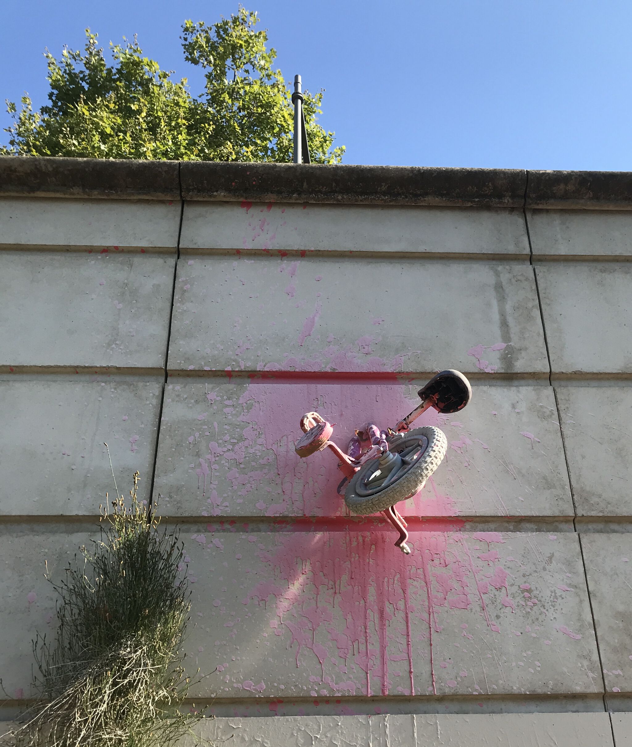 Mr Bmx&mdash;Mr BMX pink