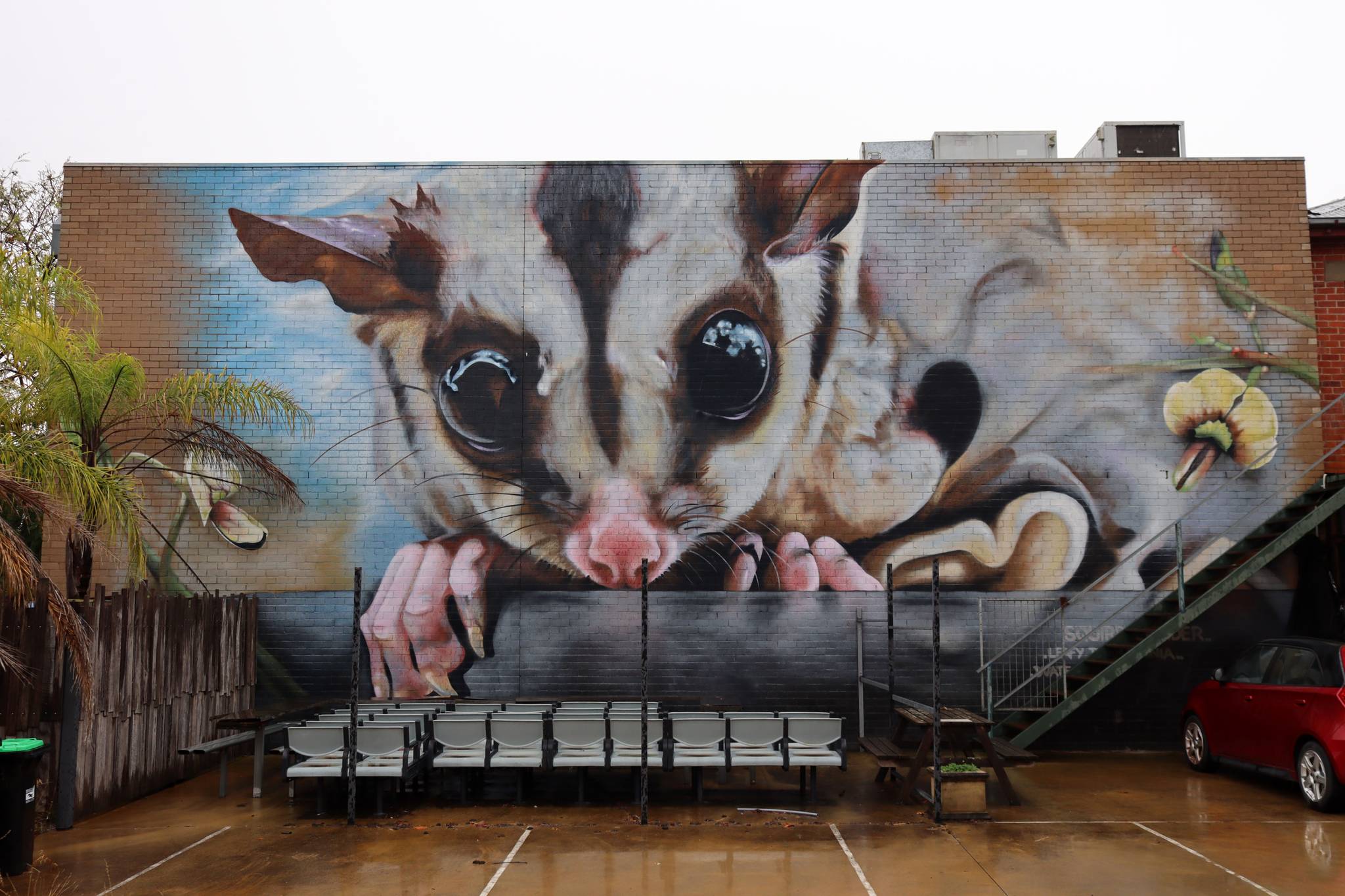 Dvate&mdash;Squirrel Glider & Leafy Templetonia