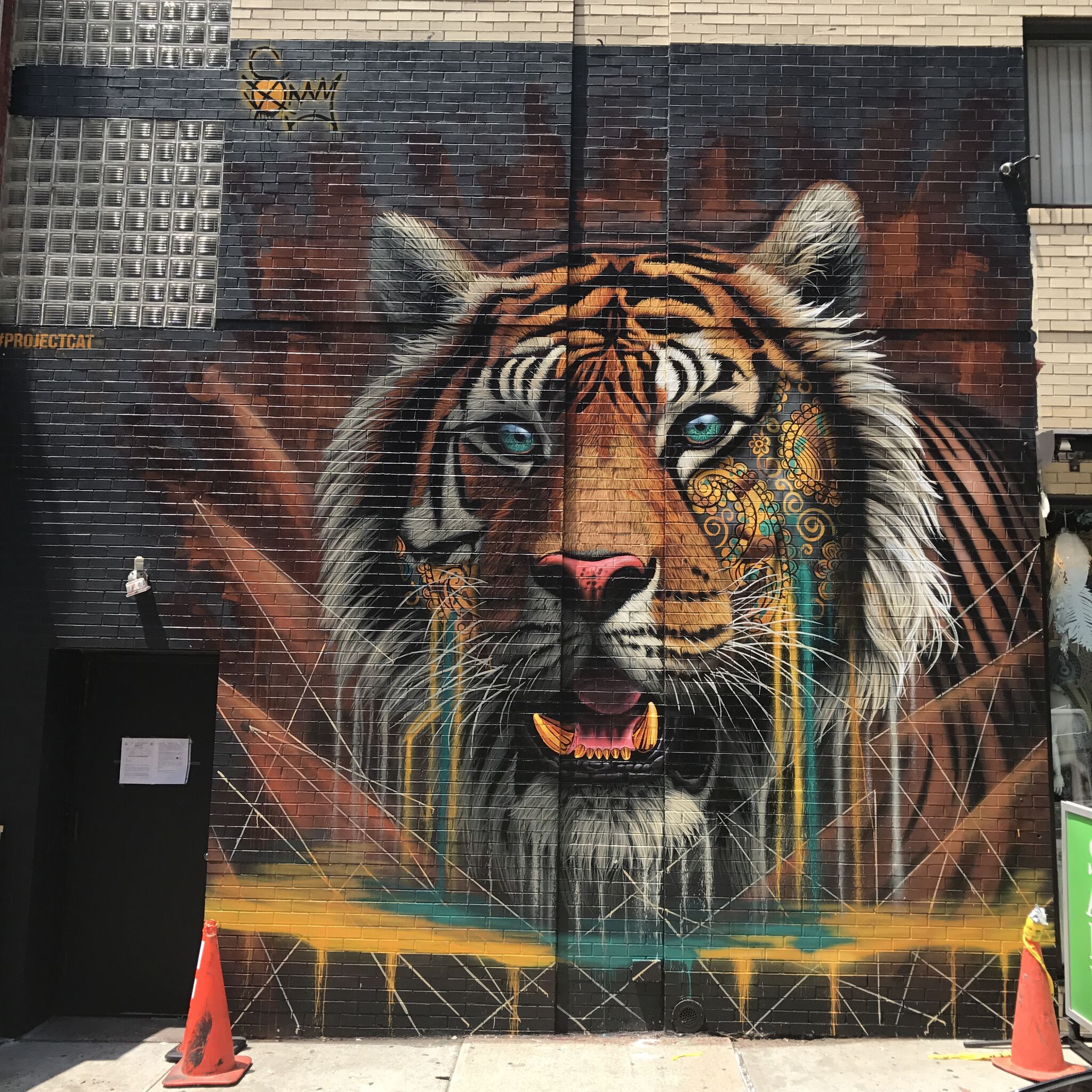Sonny Sundancer&mdash;Tiger