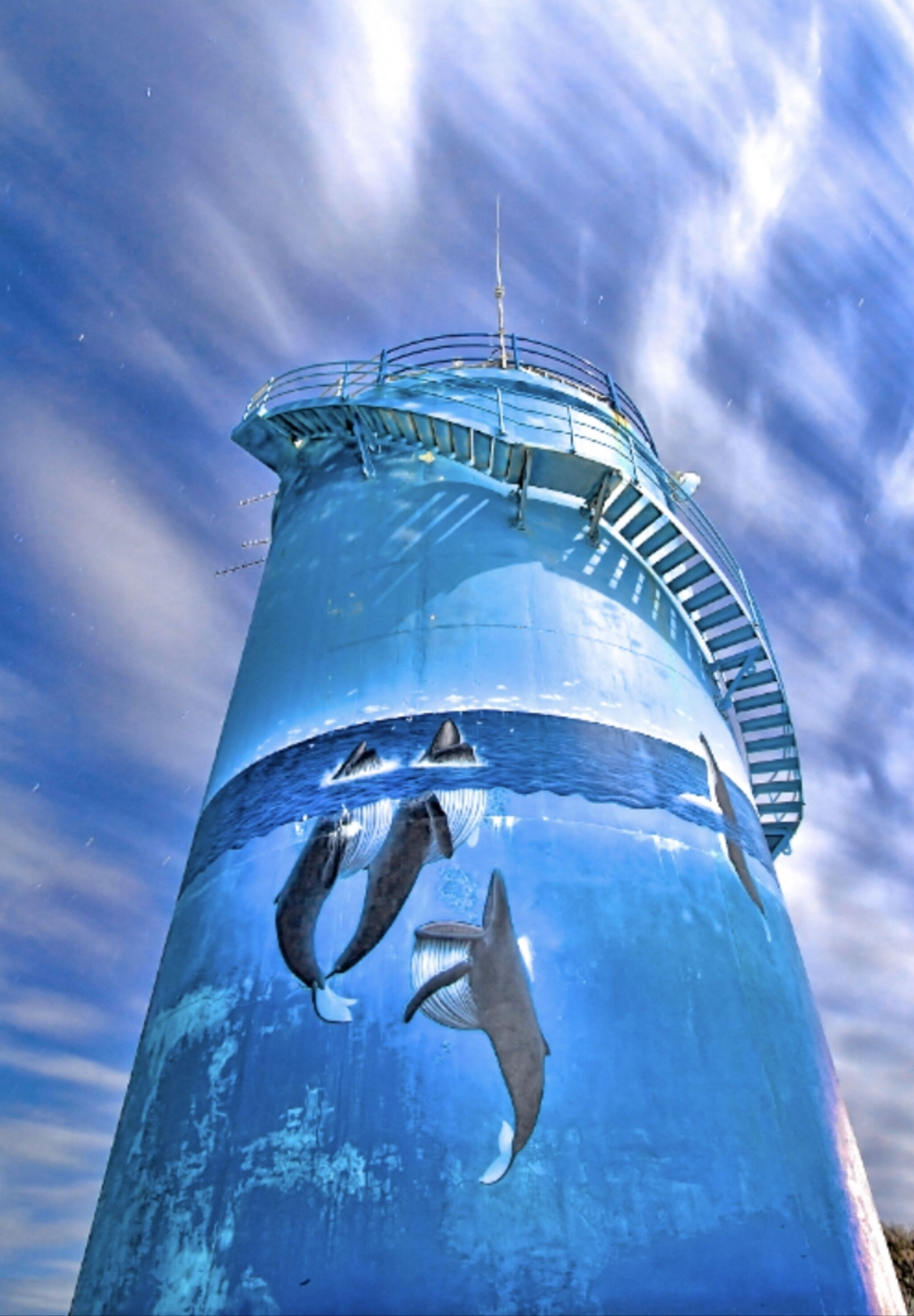 Lee Holmes&mdash;Woolgoolga Water Tower Art