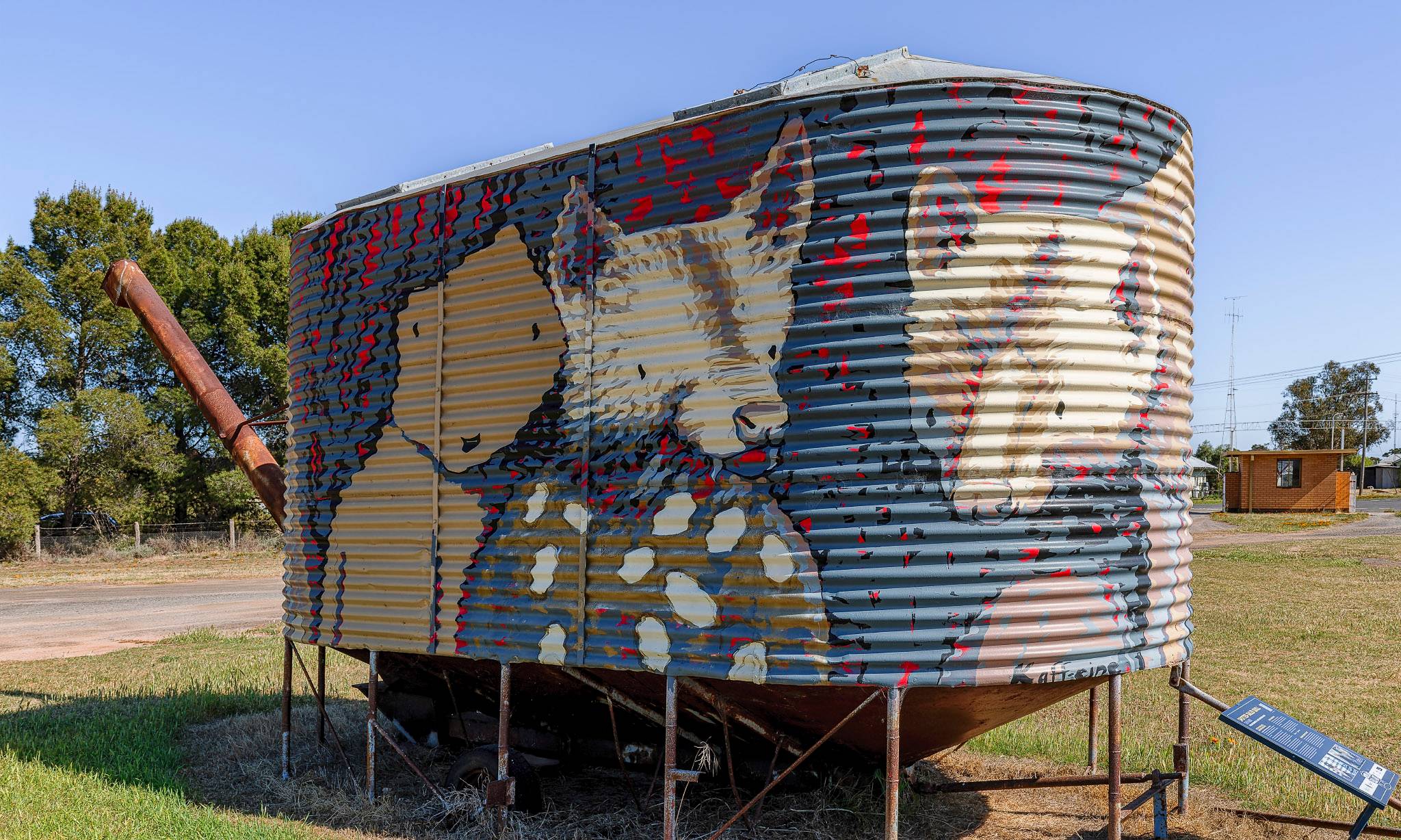 Kaffeine&mdash;Spotted-tailed Quoll