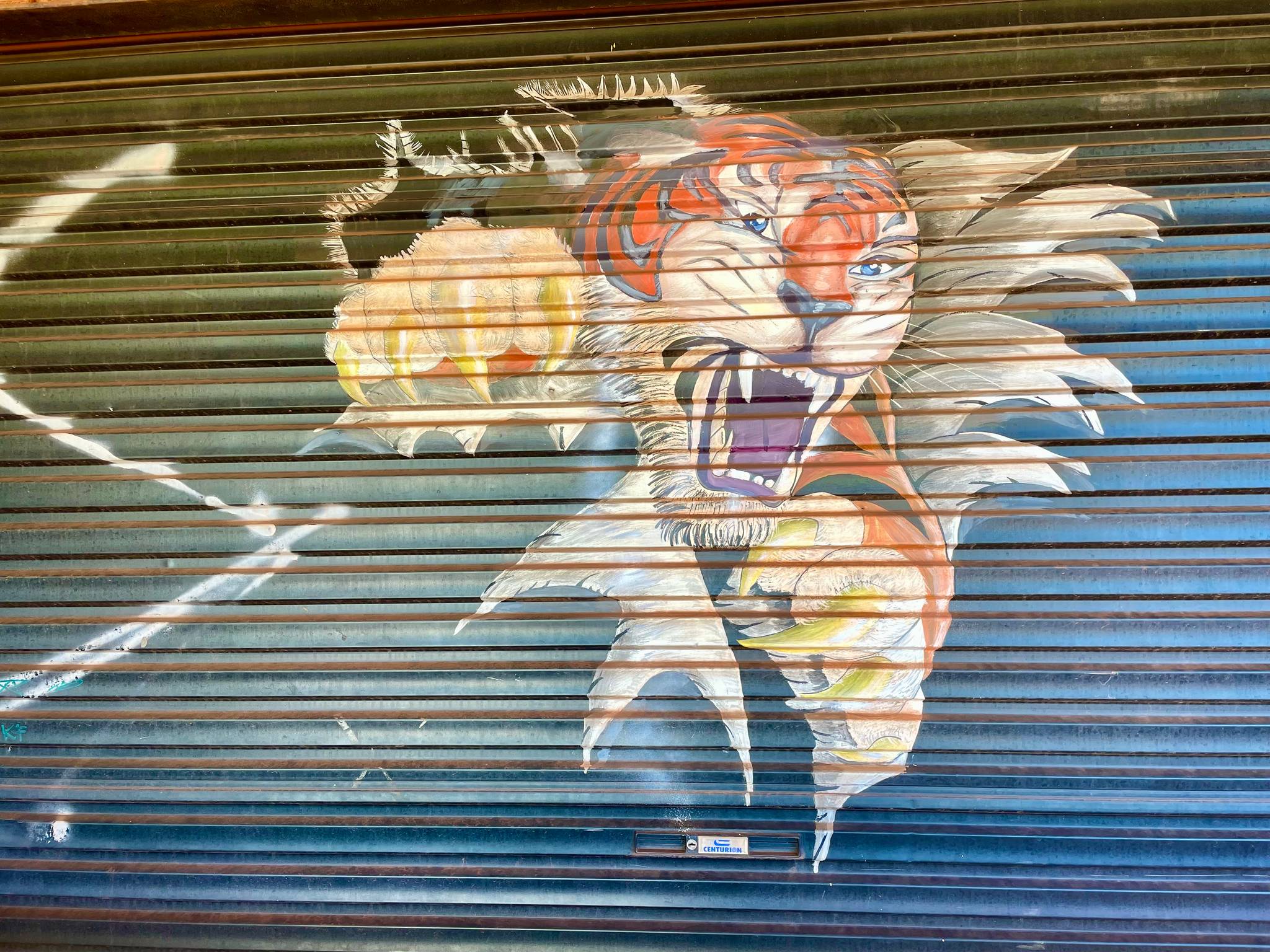 Unknown - Newman&mdash;Tigers