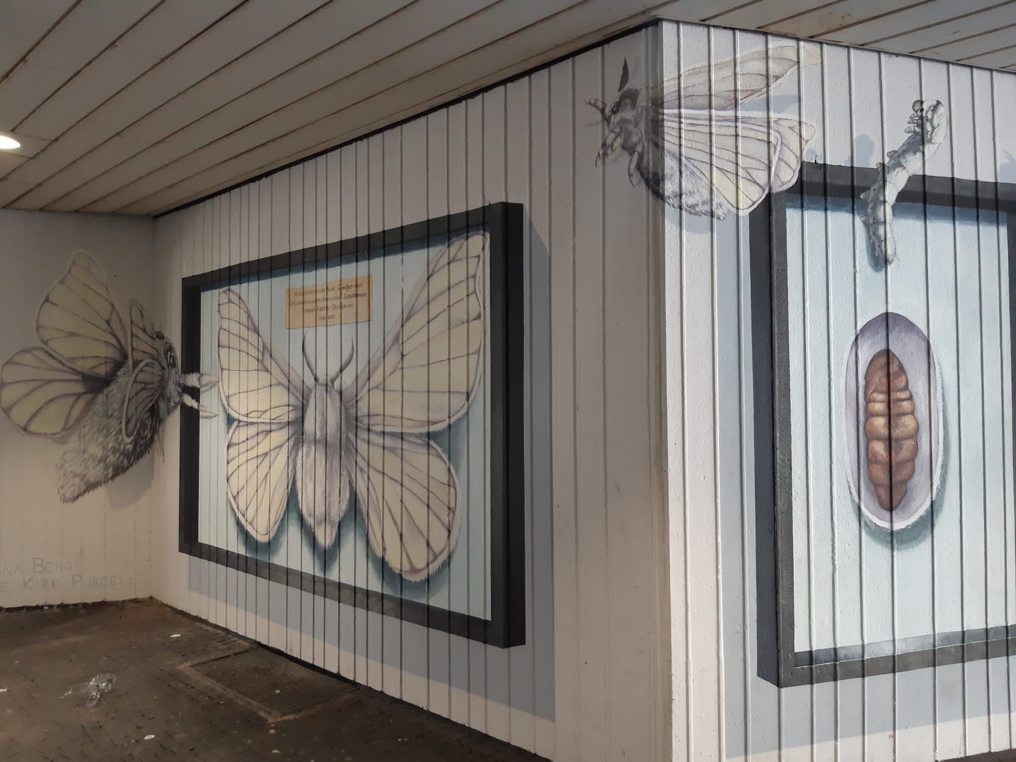 Melina Berg, Julie Kirk Purcell&mdash;The Silk Moth