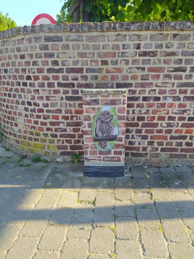 Tour Elentrik - Een muur, een uil en een muis