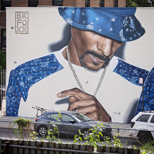 SNOOP DOGG アート Urbaneez | Snoop Dogg by Jinks Kunst | Buy Street Art