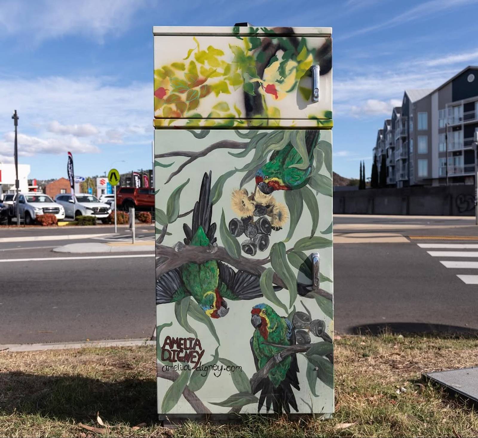 Amelia Digney&mdash;Swift Parrot