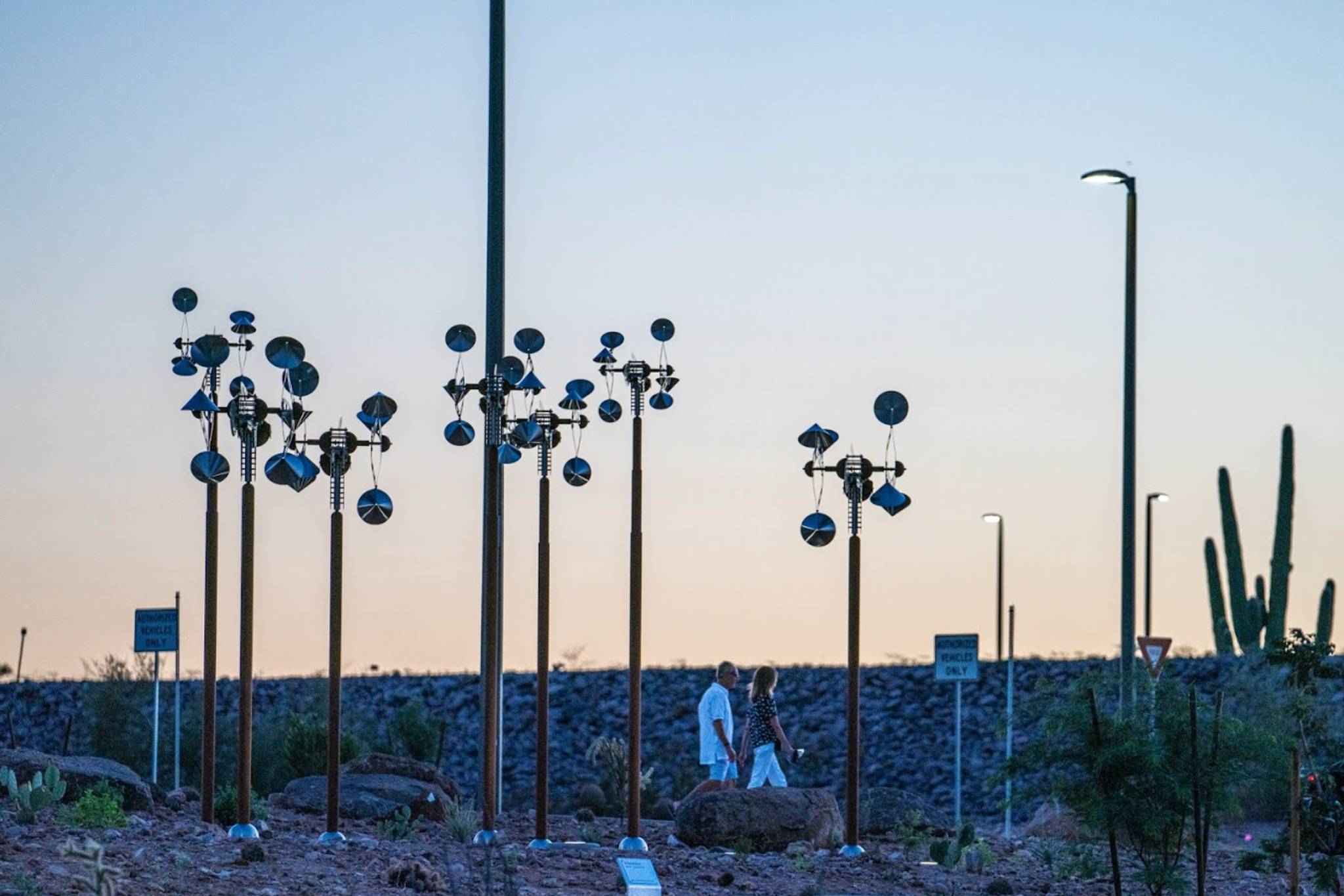 David Boyer&mdash;Songbirds