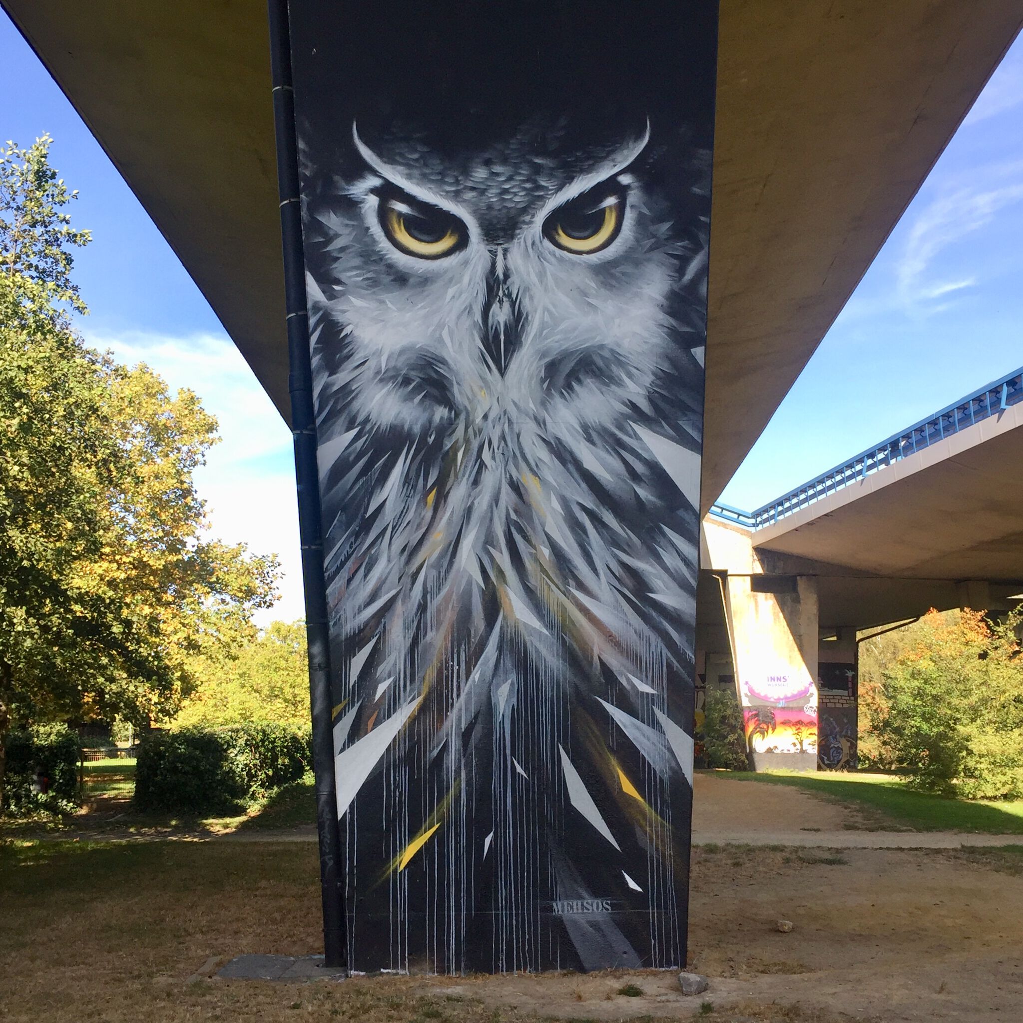 Mehsos&mdash;Majestic Owl