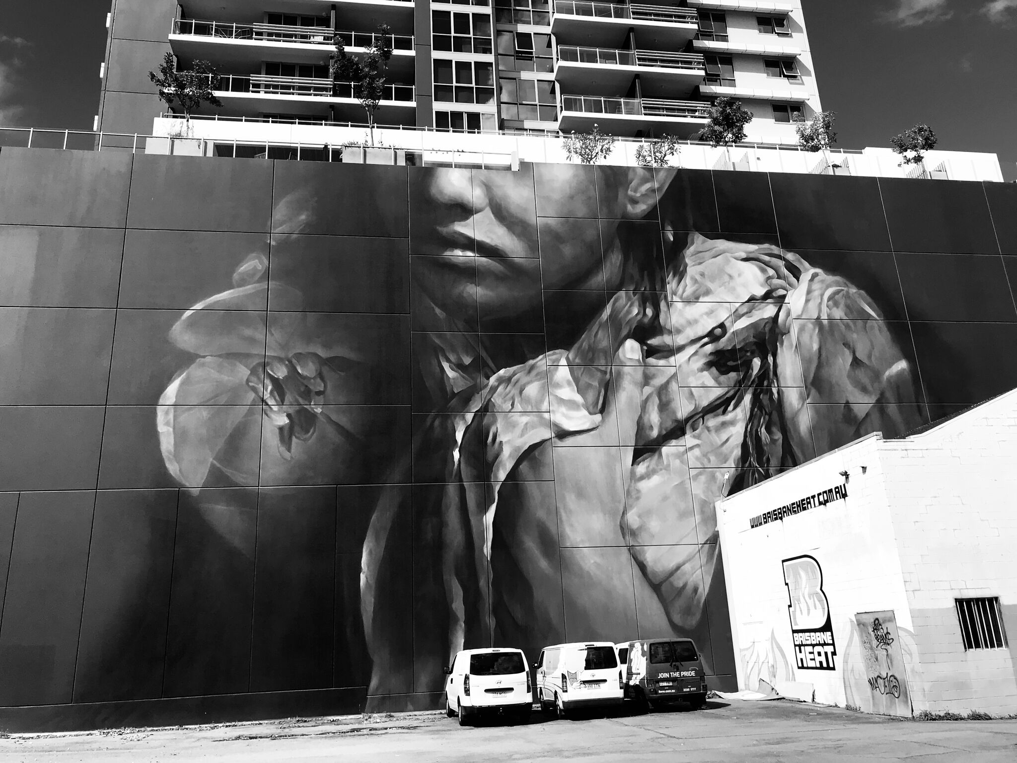 Guido van Helten&mdash;Untitled